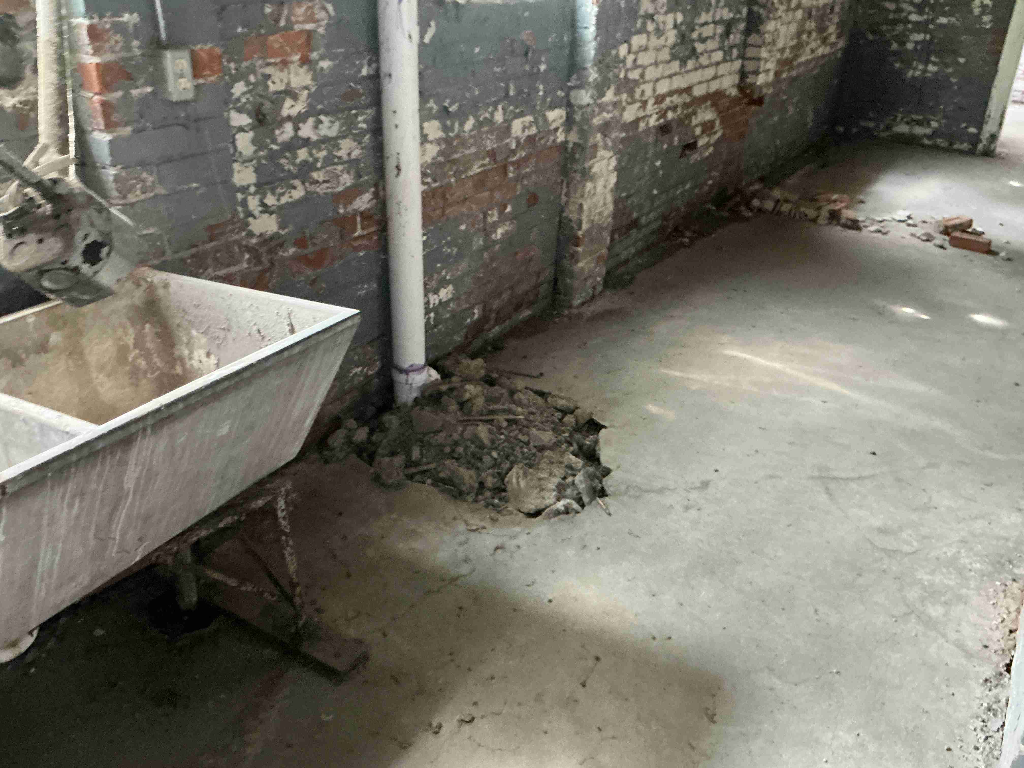 IMG_1102.jpeg