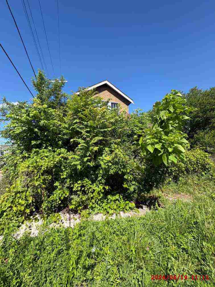 3139000-2_001.jpg