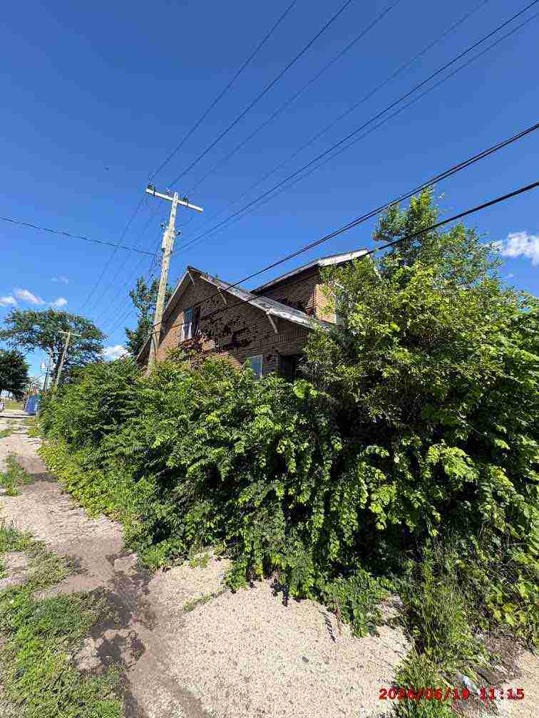 3139000-2_020.jpg