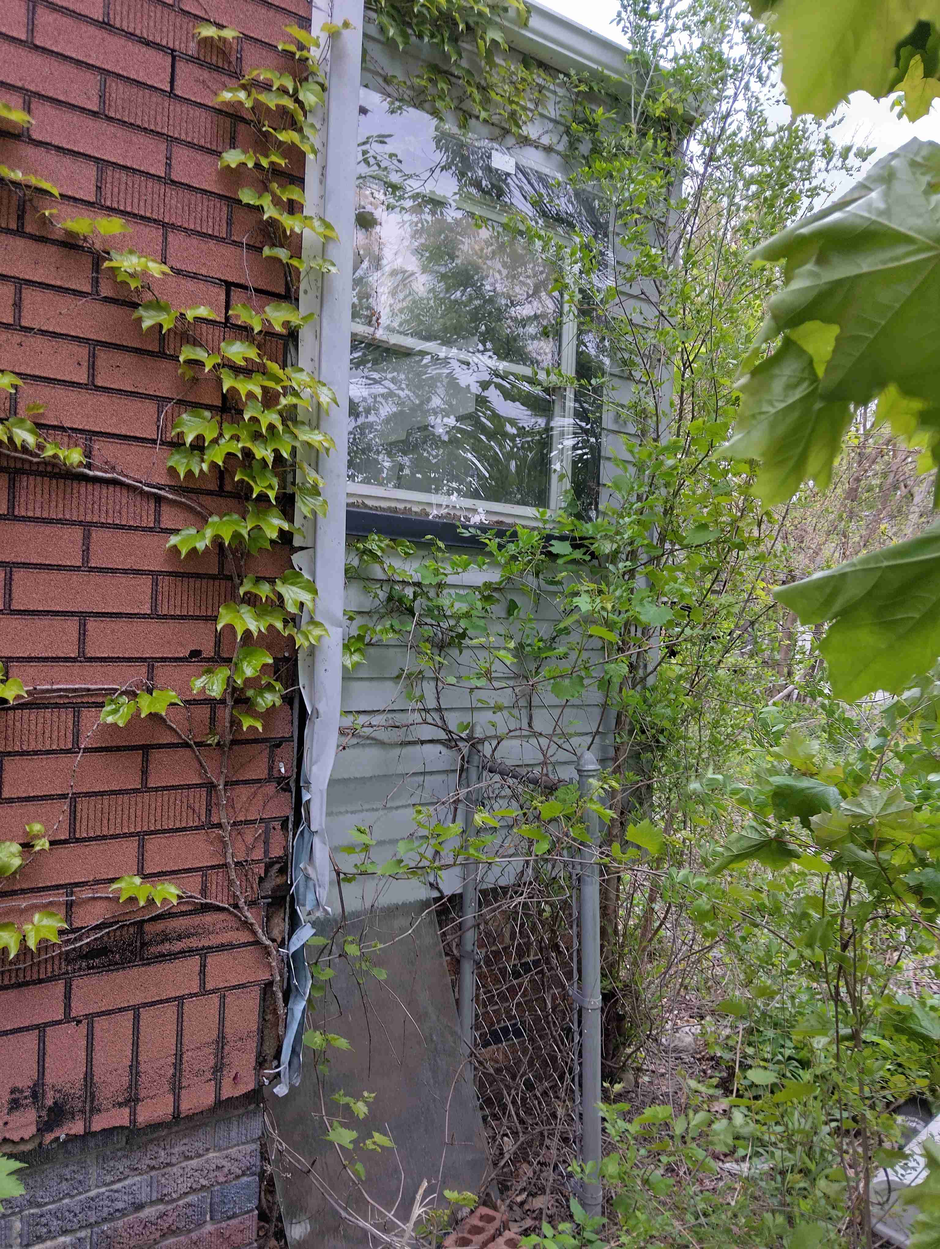 IMG_20260513_113719_HDR.jpg