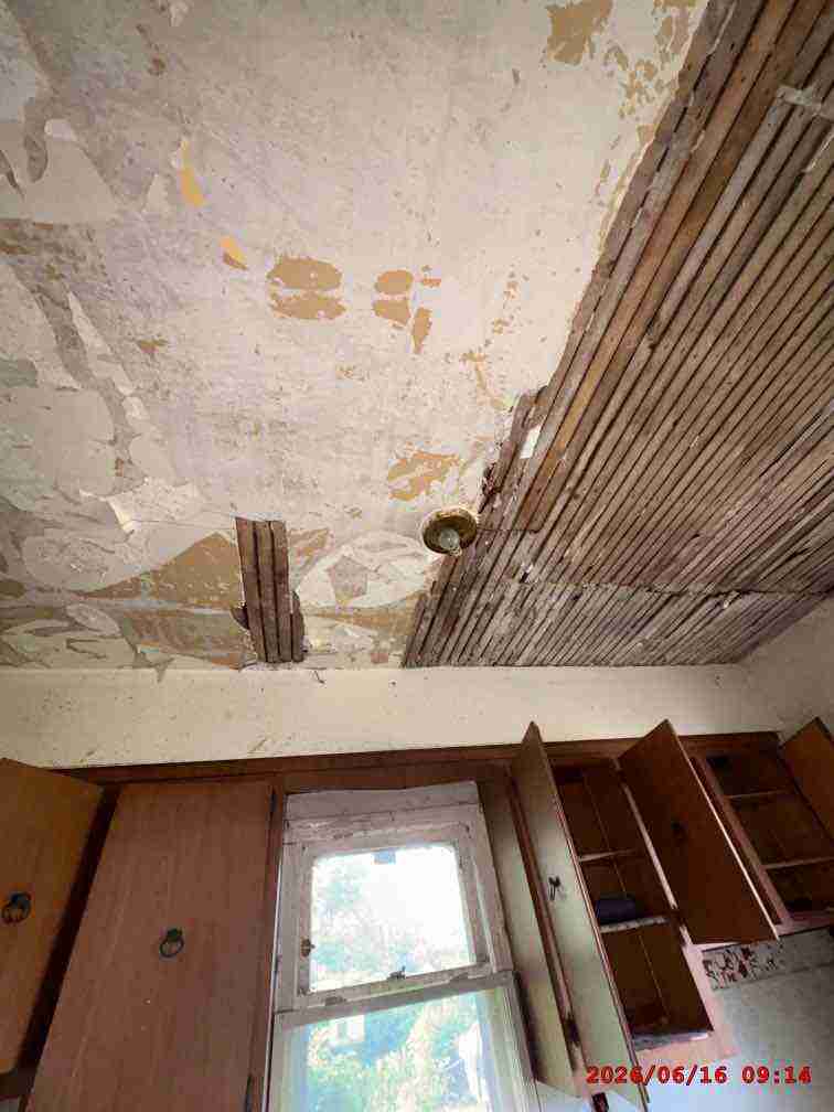 3139174-1_045.jpg