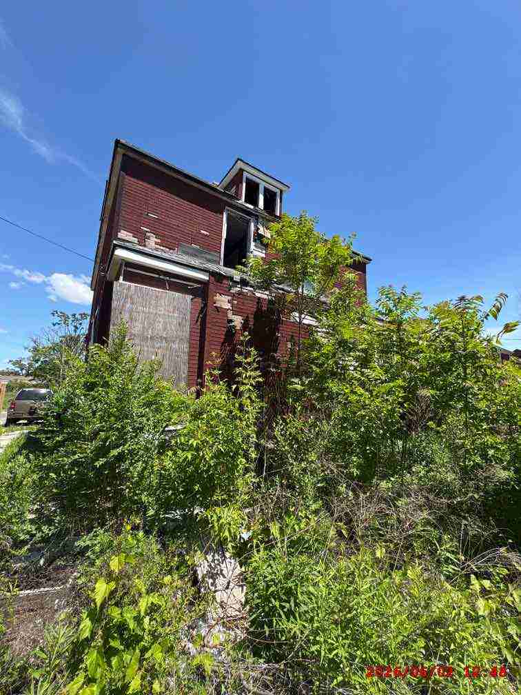 3138594-1_007.jpg