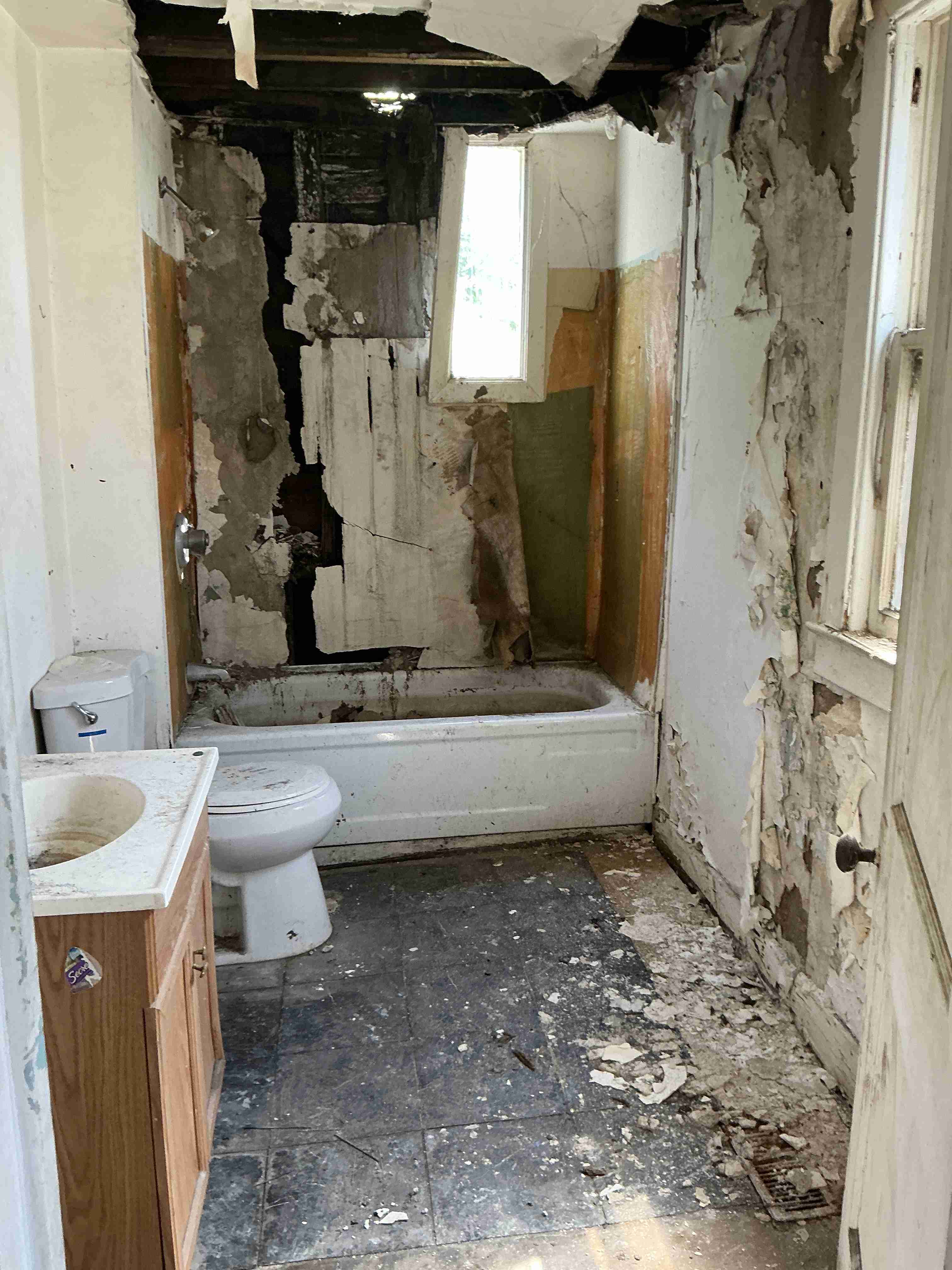 IMG_9325.jpeg