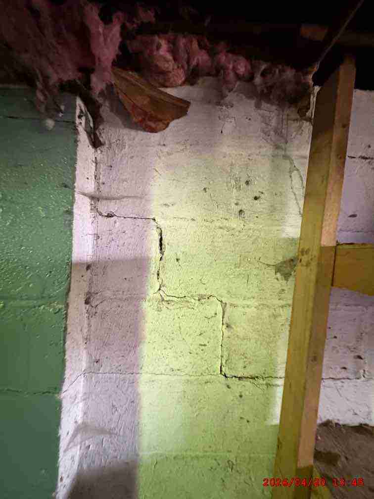 3137037-1_076.jpg