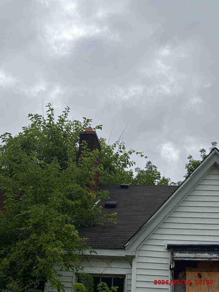 3139537-1_012.jpg