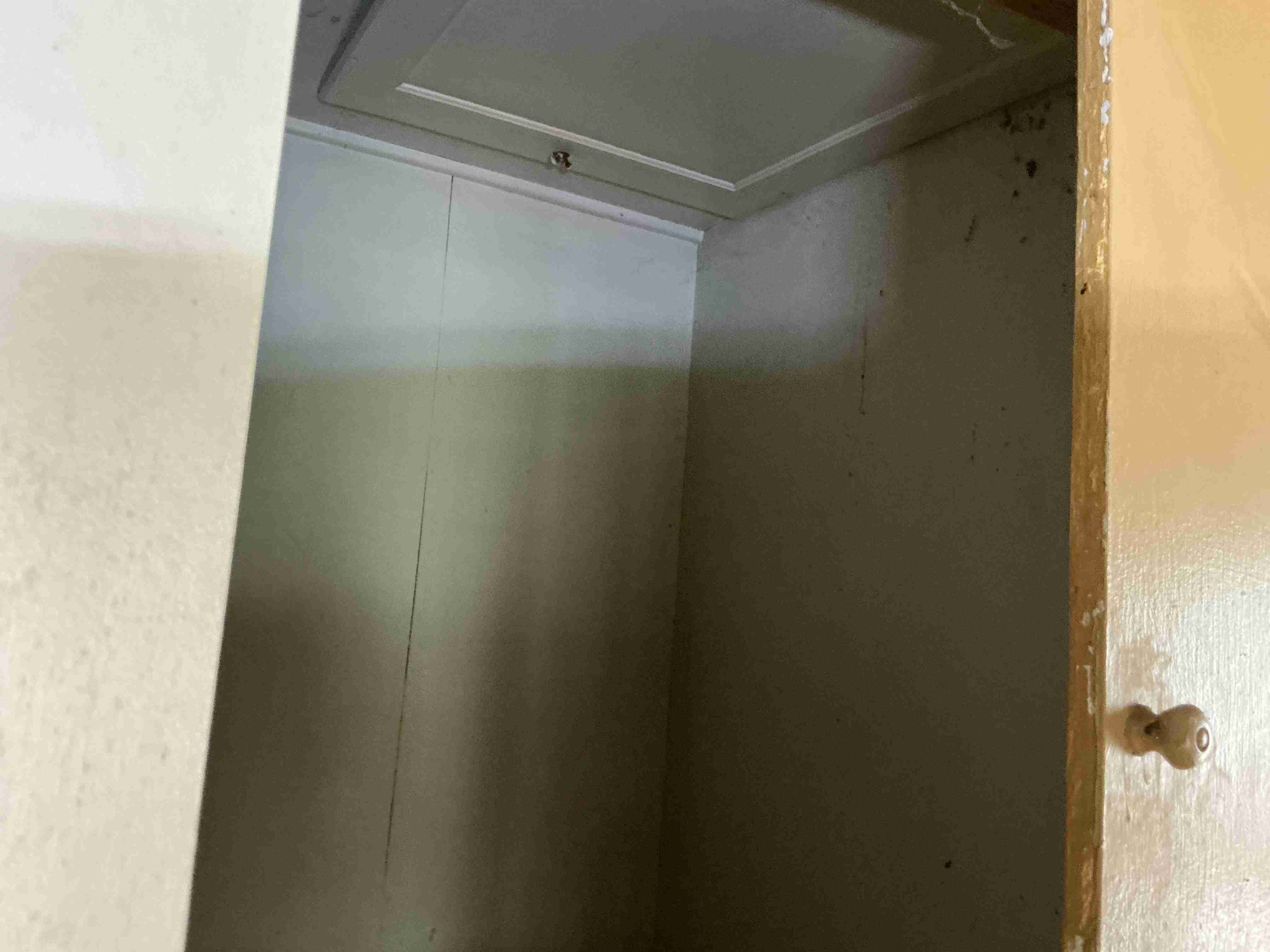 IMG_2358.jpeg