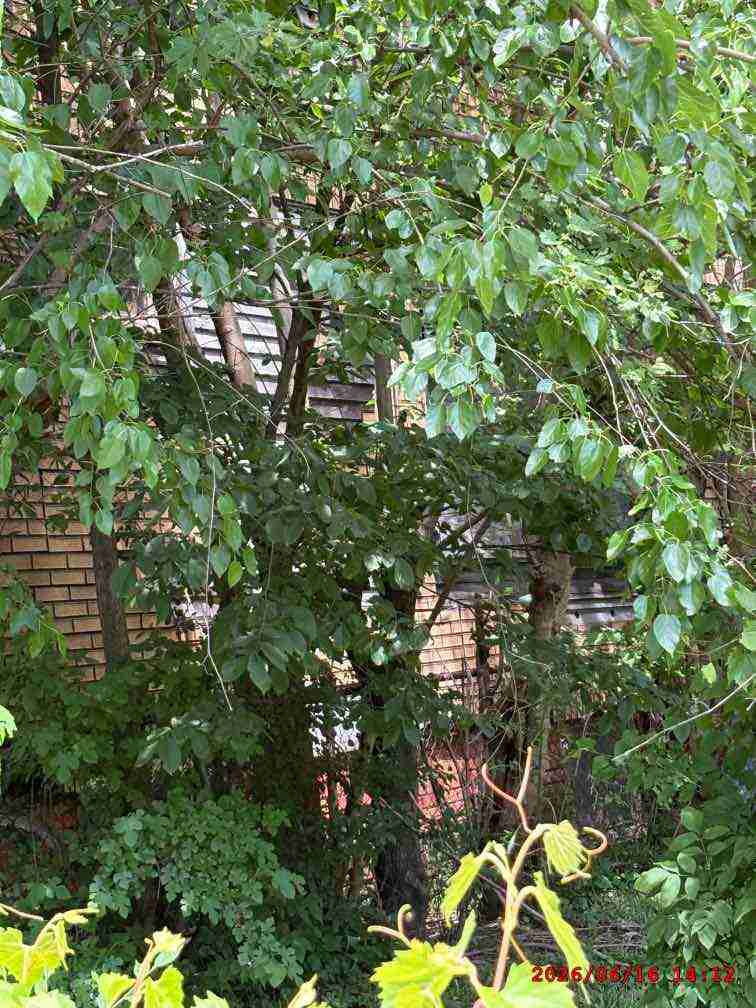 3139179-1_006.jpg