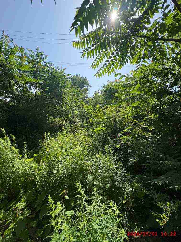 3139395-1_020.jpg