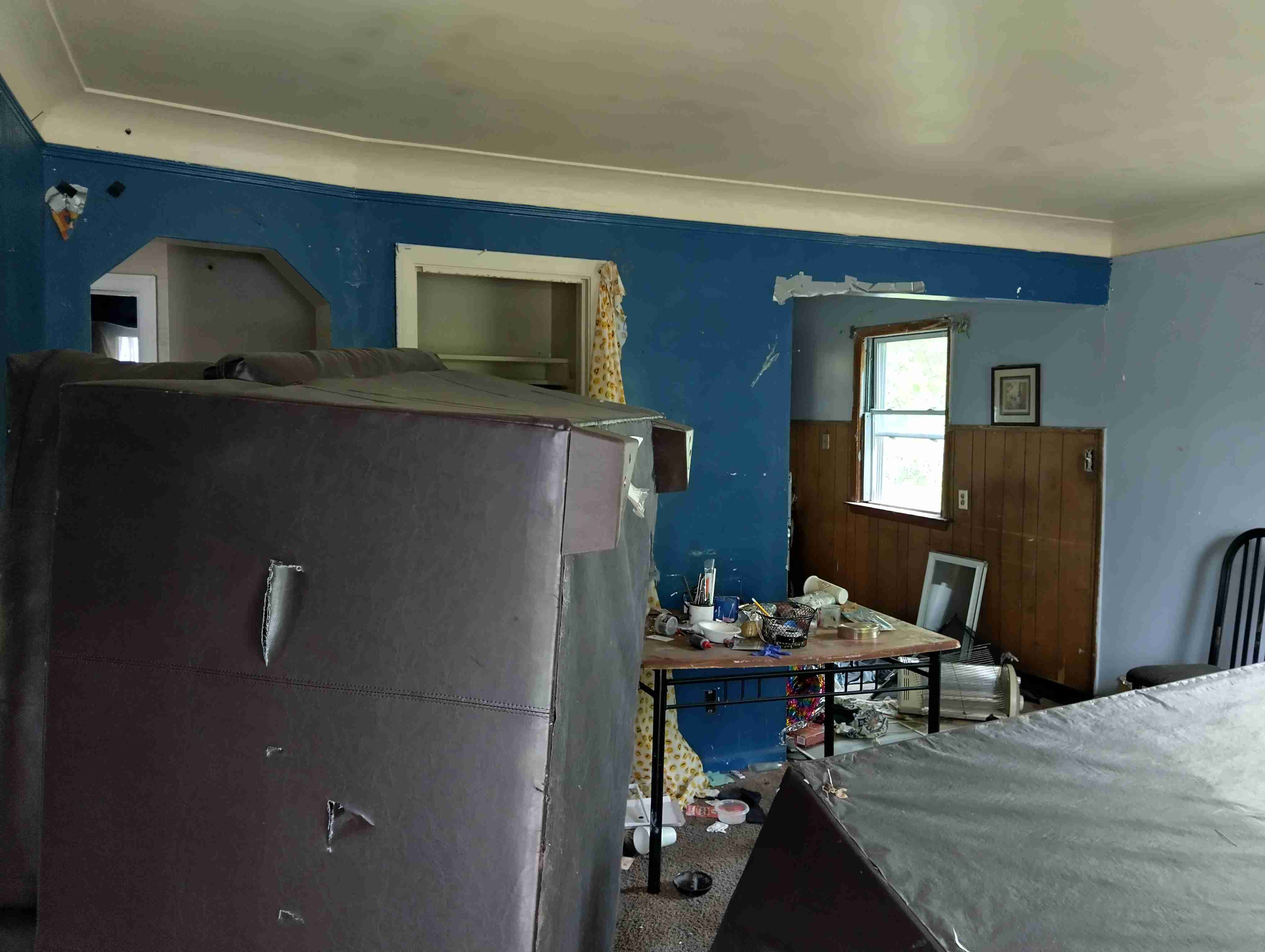 IMG_20260513_104631_HDR.jpg
