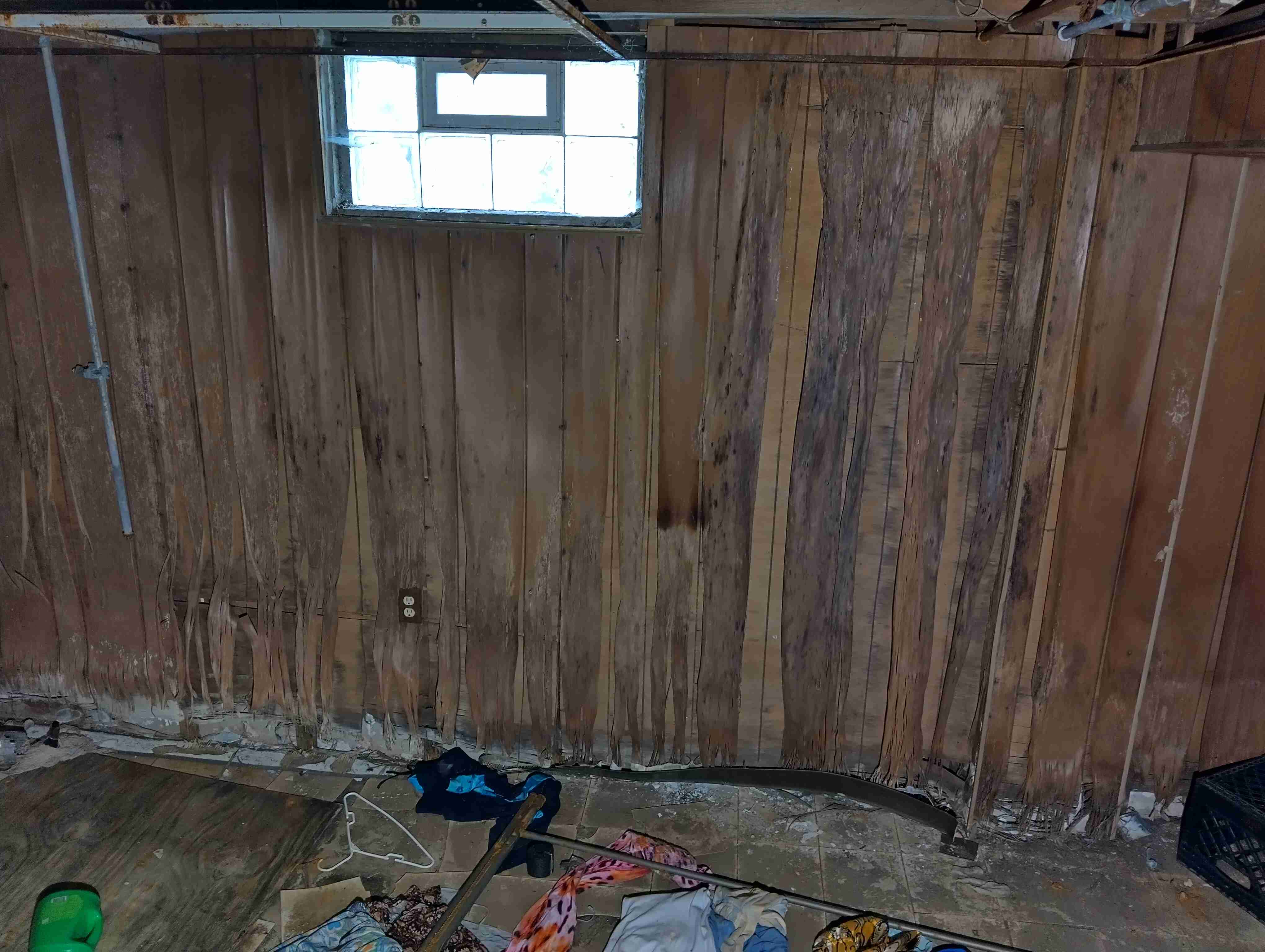IMG_20260513_105109_HDR.jpg