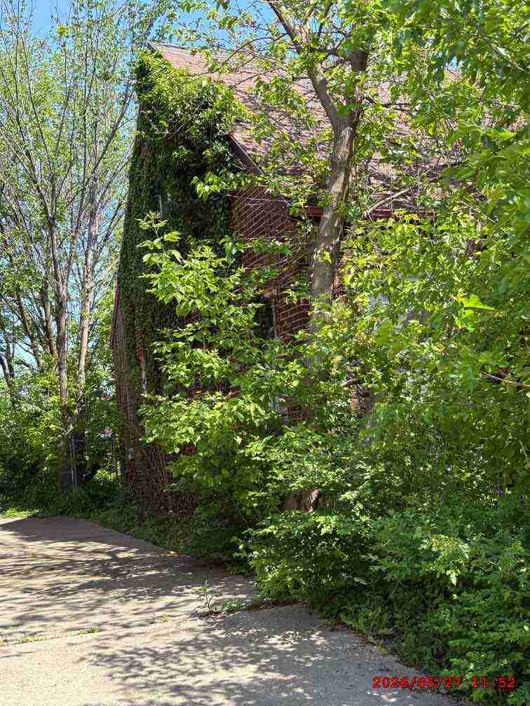 3138759-1_021.jpg