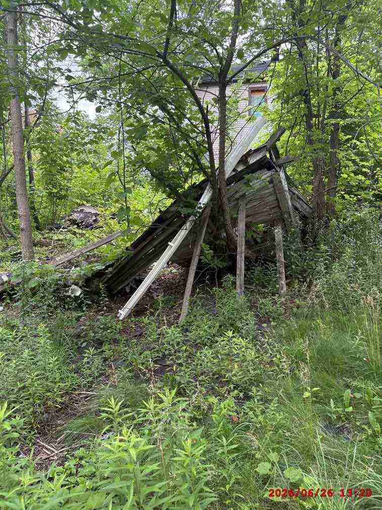 3139337-1_041.jpg