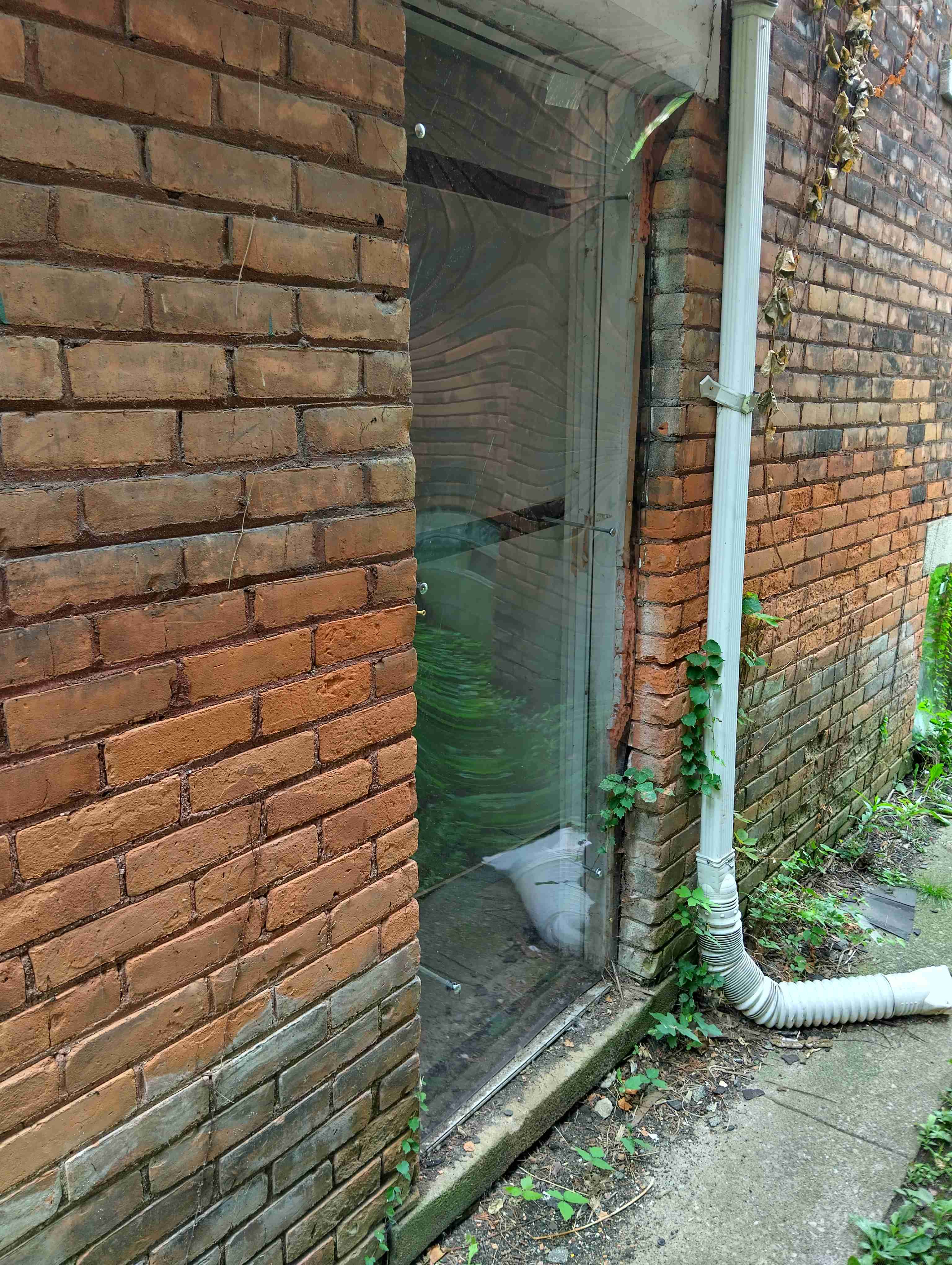 IMG_20260813_135004_HDR.jpg