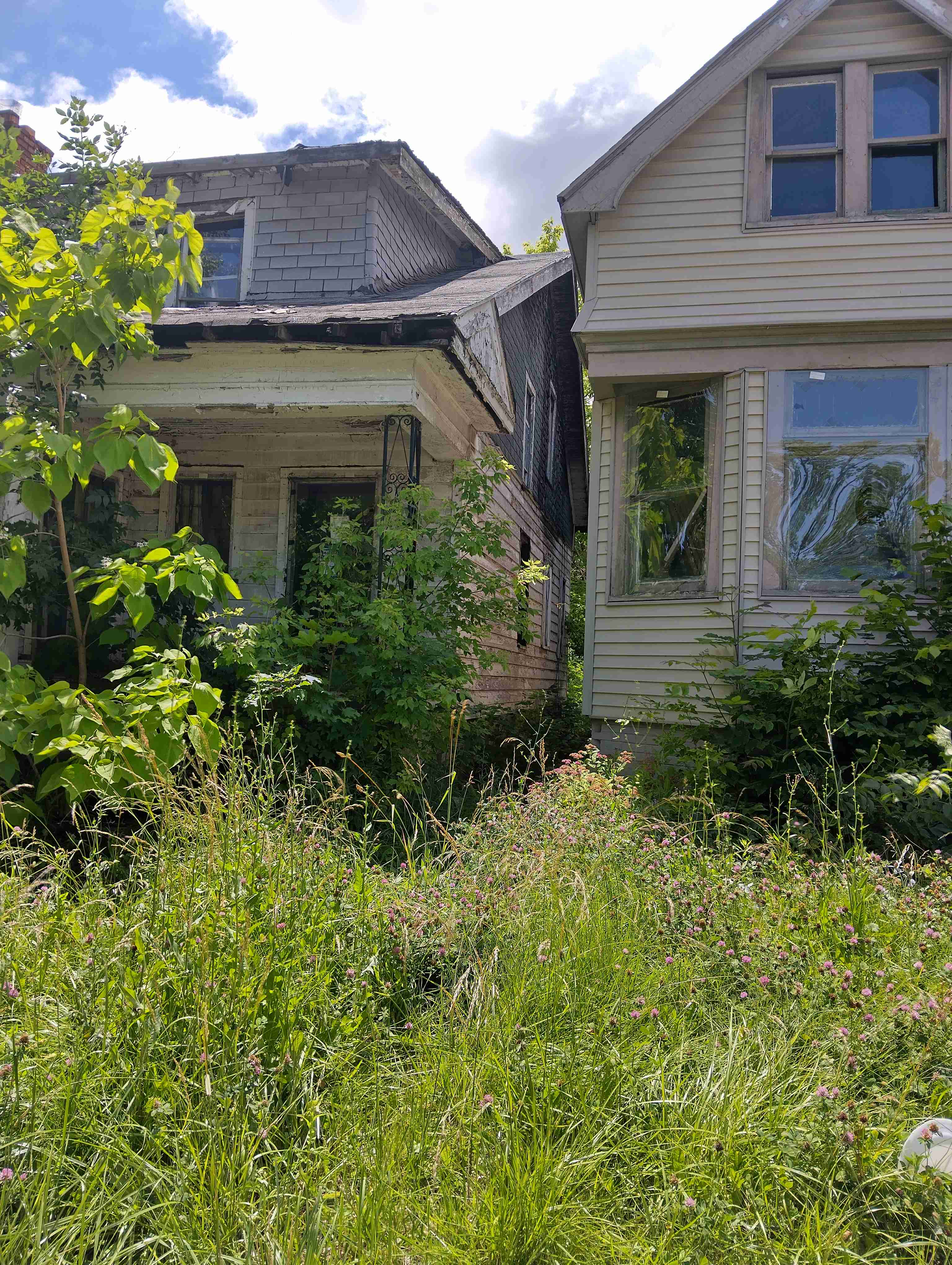 IMG_20260622_142932_HDR.jpg