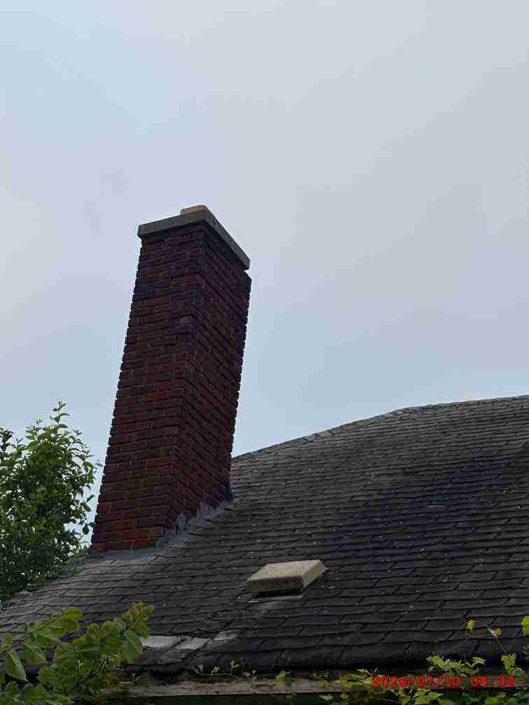 3139477-1_011.jpg