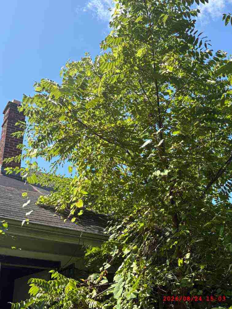 3140262-1_014.jpg