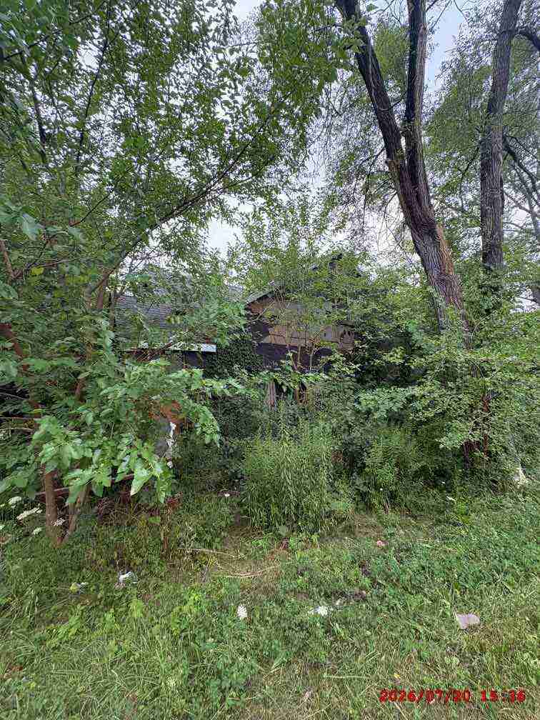 3139713-1_006.jpg