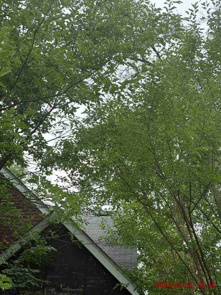 3139713-1_030.jpg