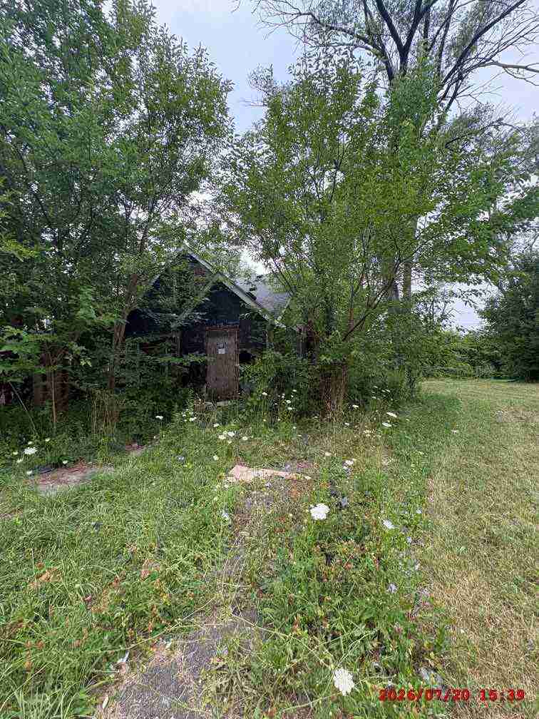 3139713-1_033.jpg