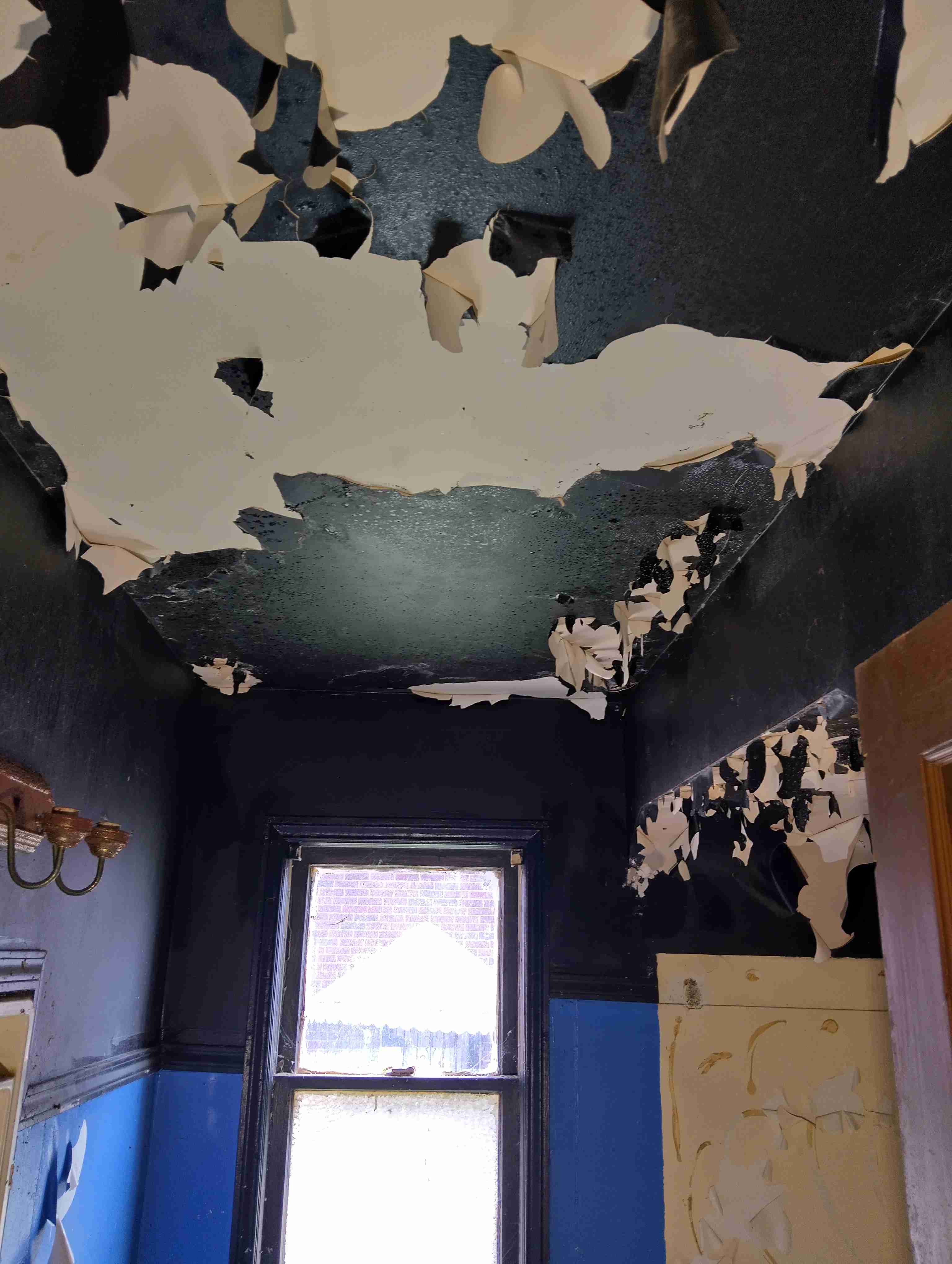 IMG_20260731_123008_HDR.jpg
