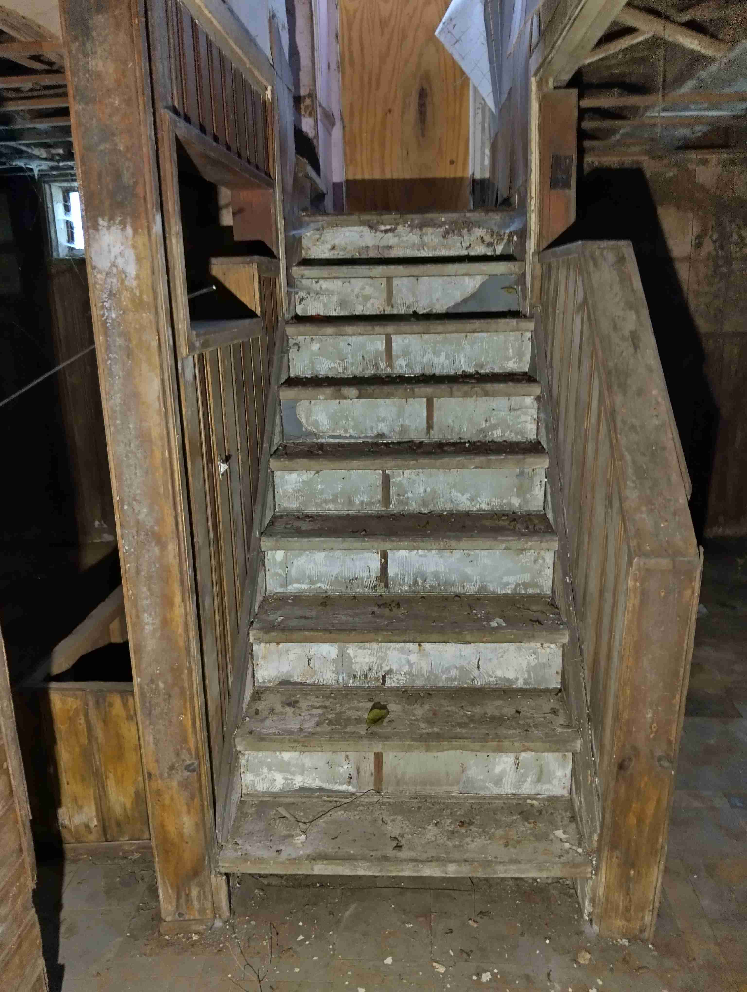 IMG_20260731_123604_HDR.jpg
