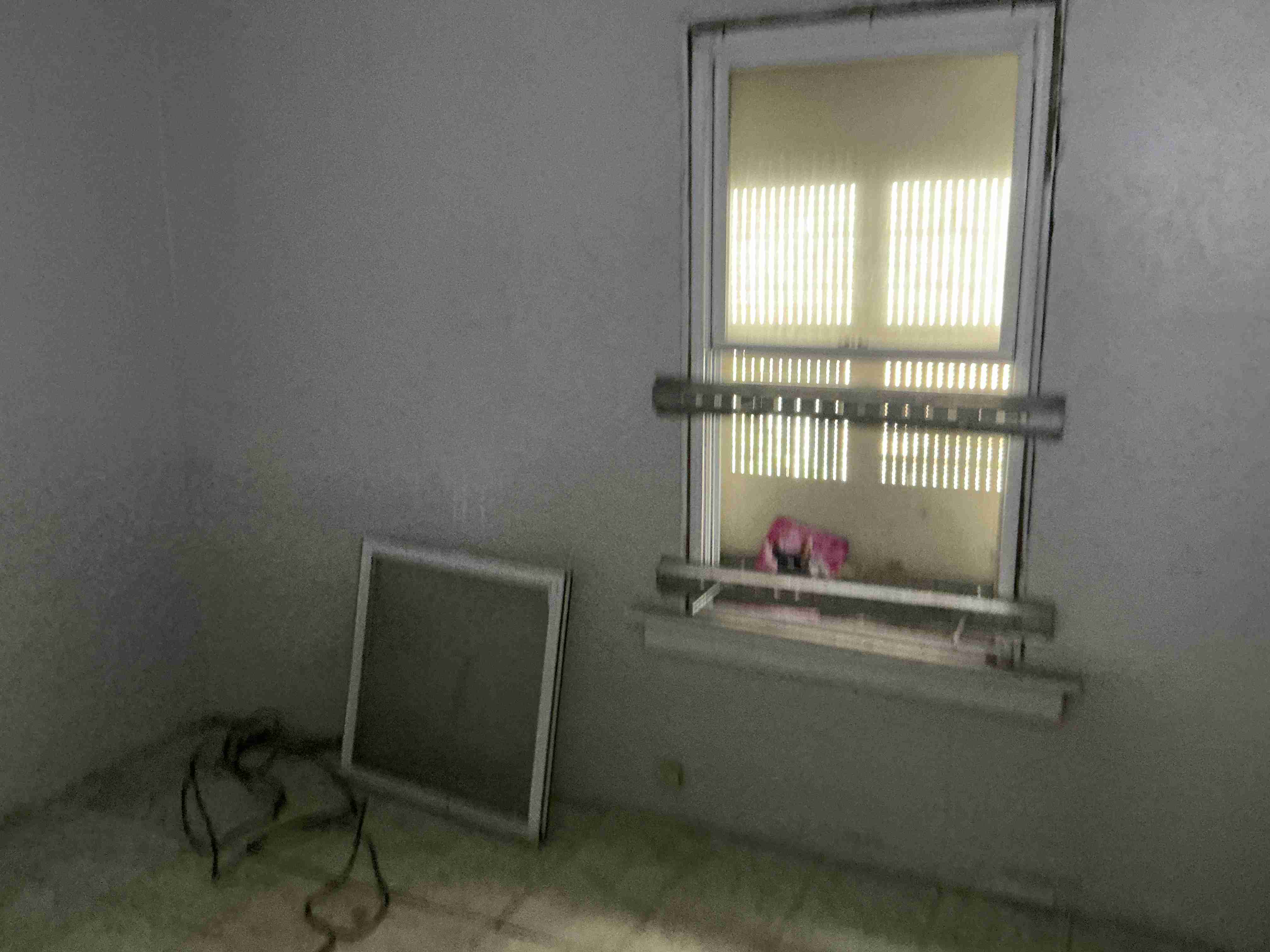 IMG_5279.jpeg