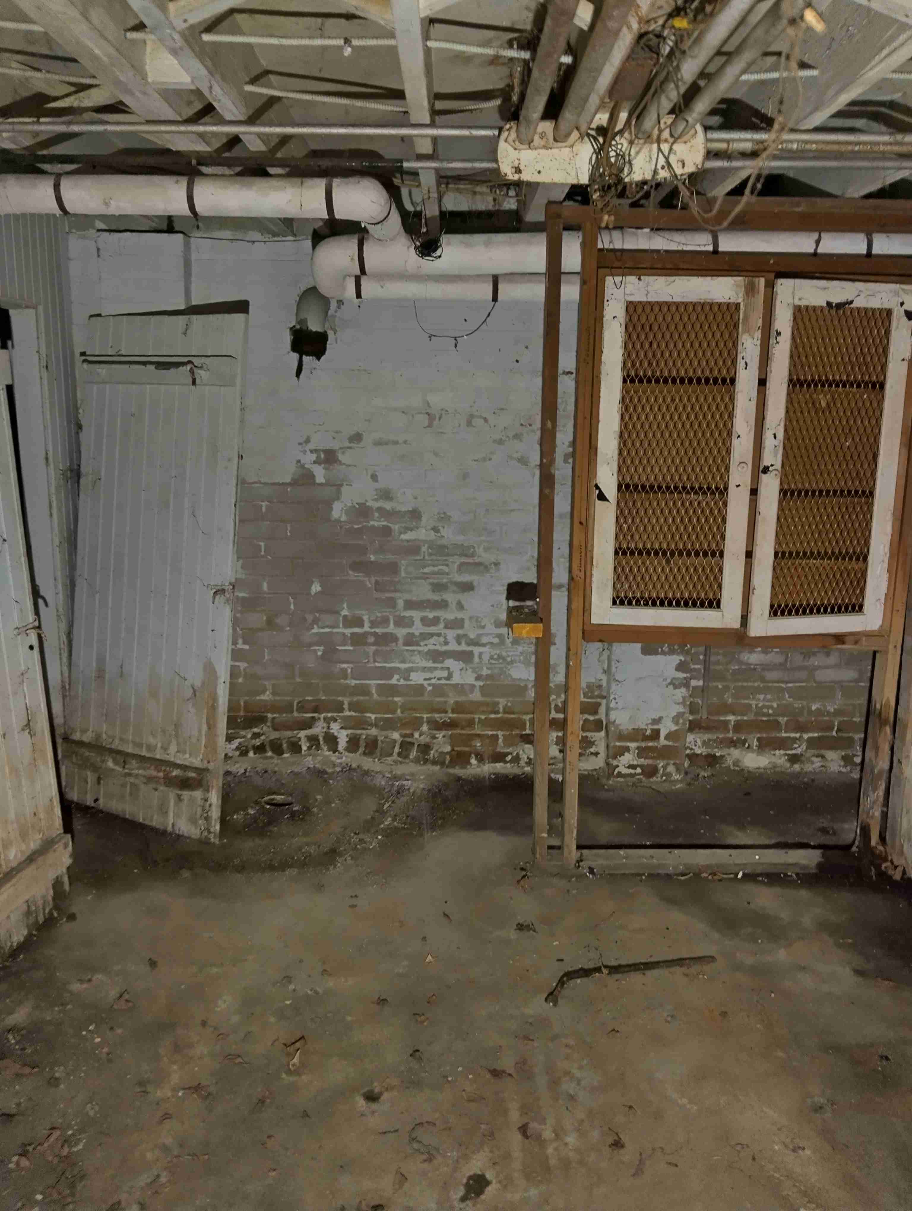 IMG_20260720_123537_HDR.jpg