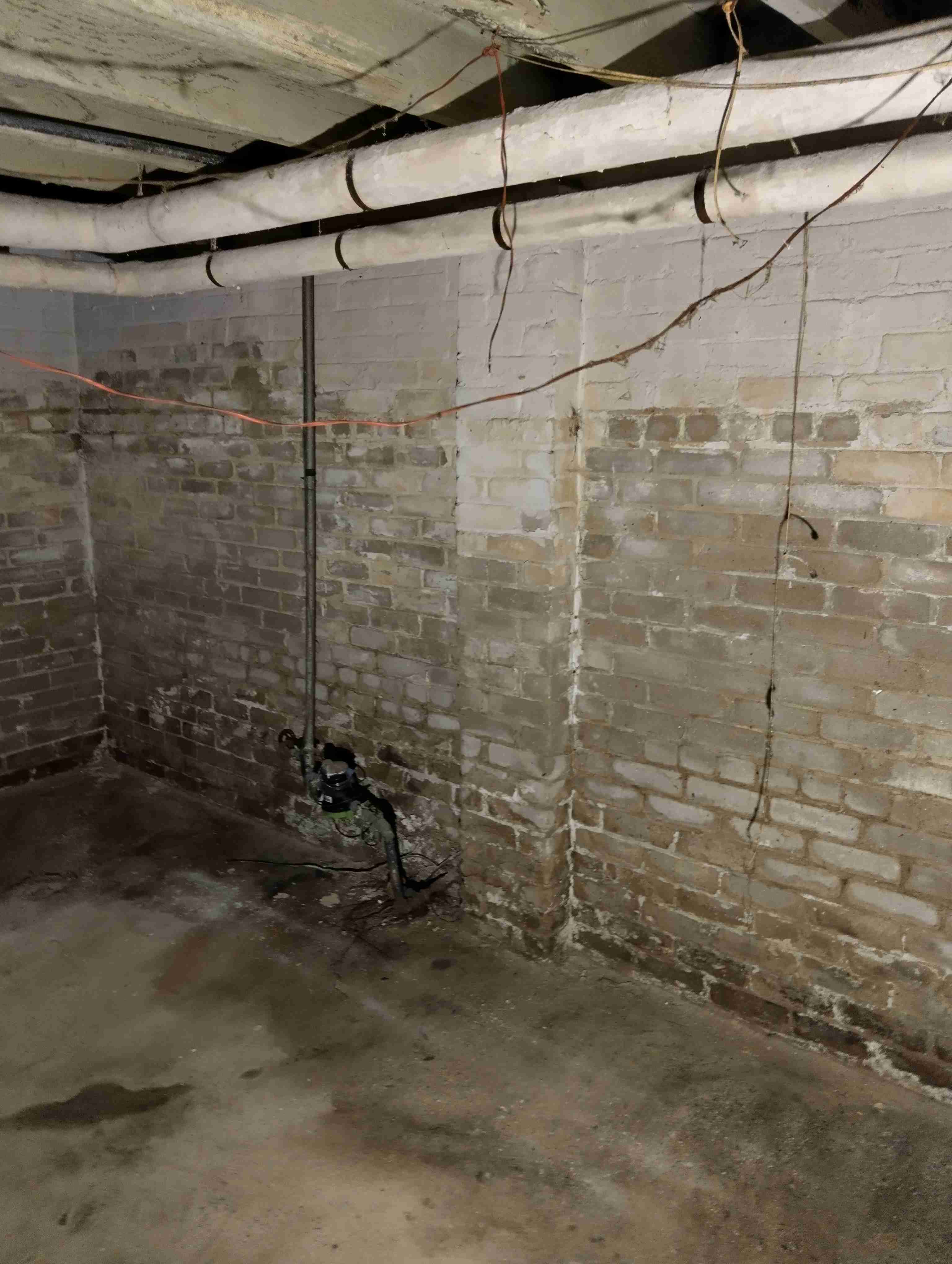 IMG_20260720_123553_HDR.jpg