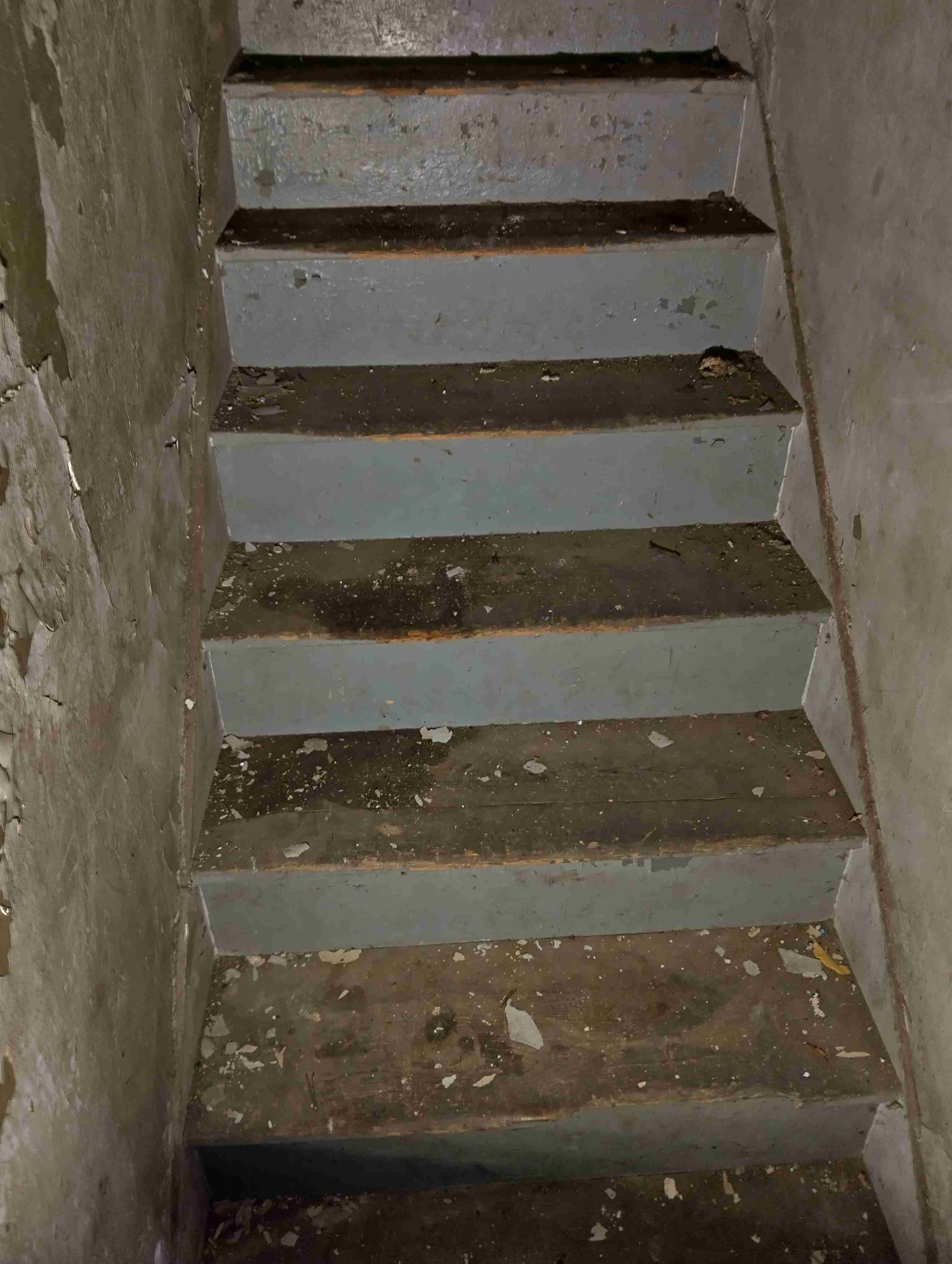 IMG_20260902_152653_HDR.jpg