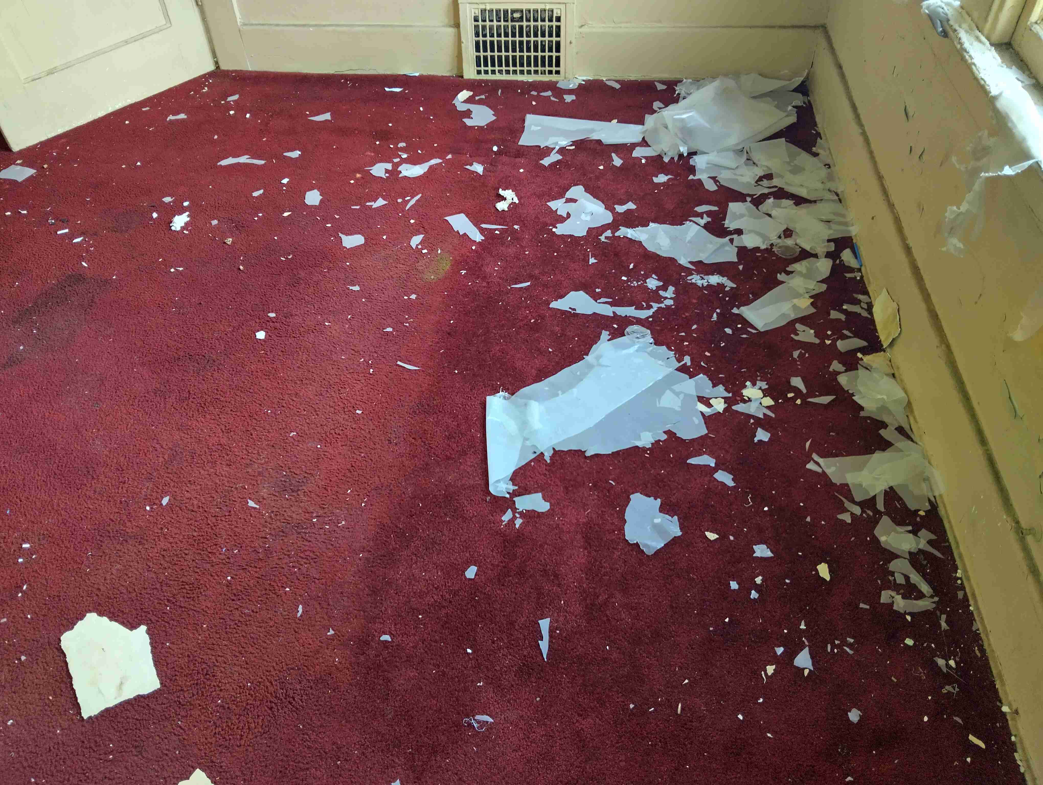 IMG_20260902_152845_HDR.jpg