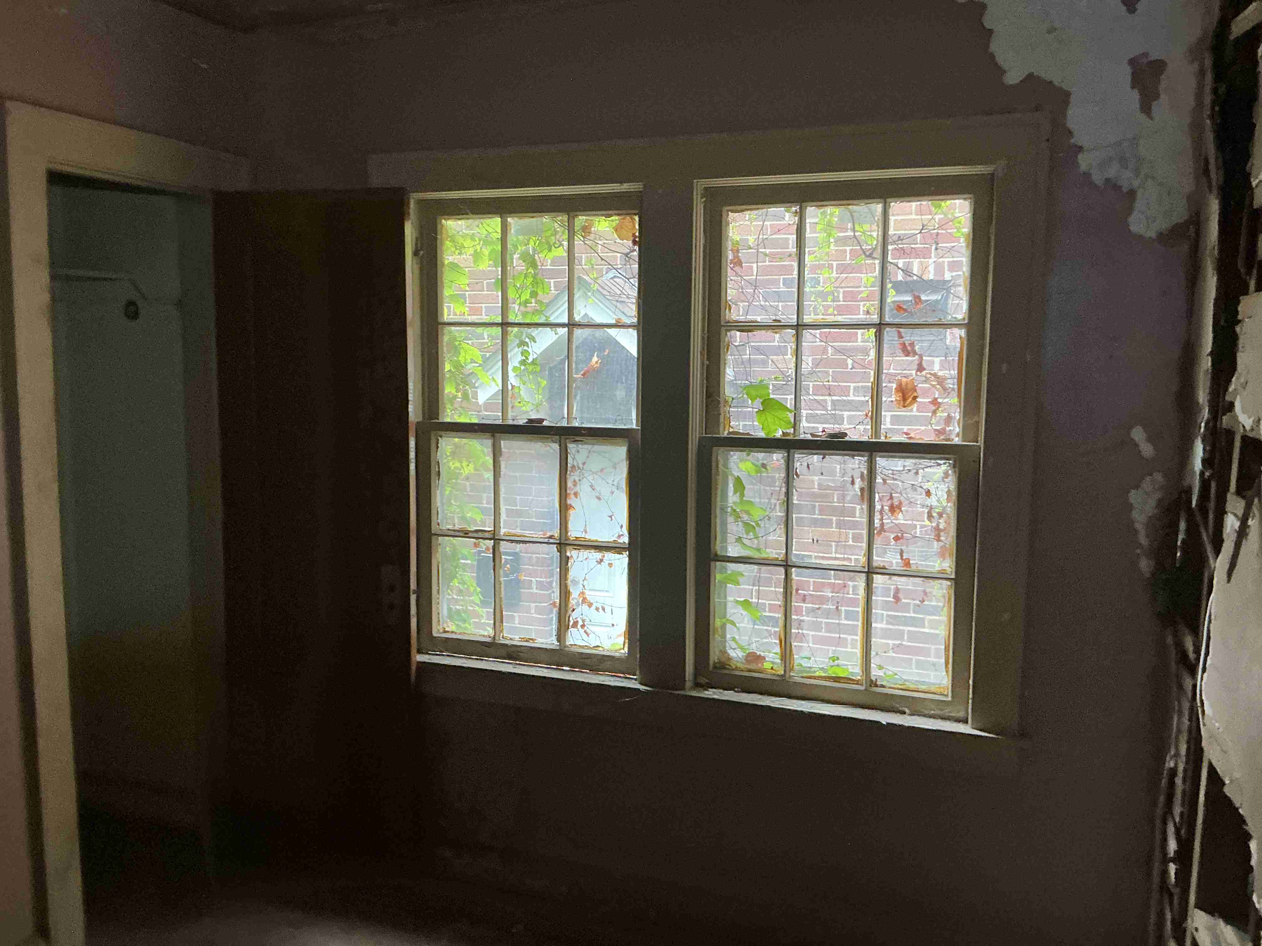 IMG_7295.jpeg