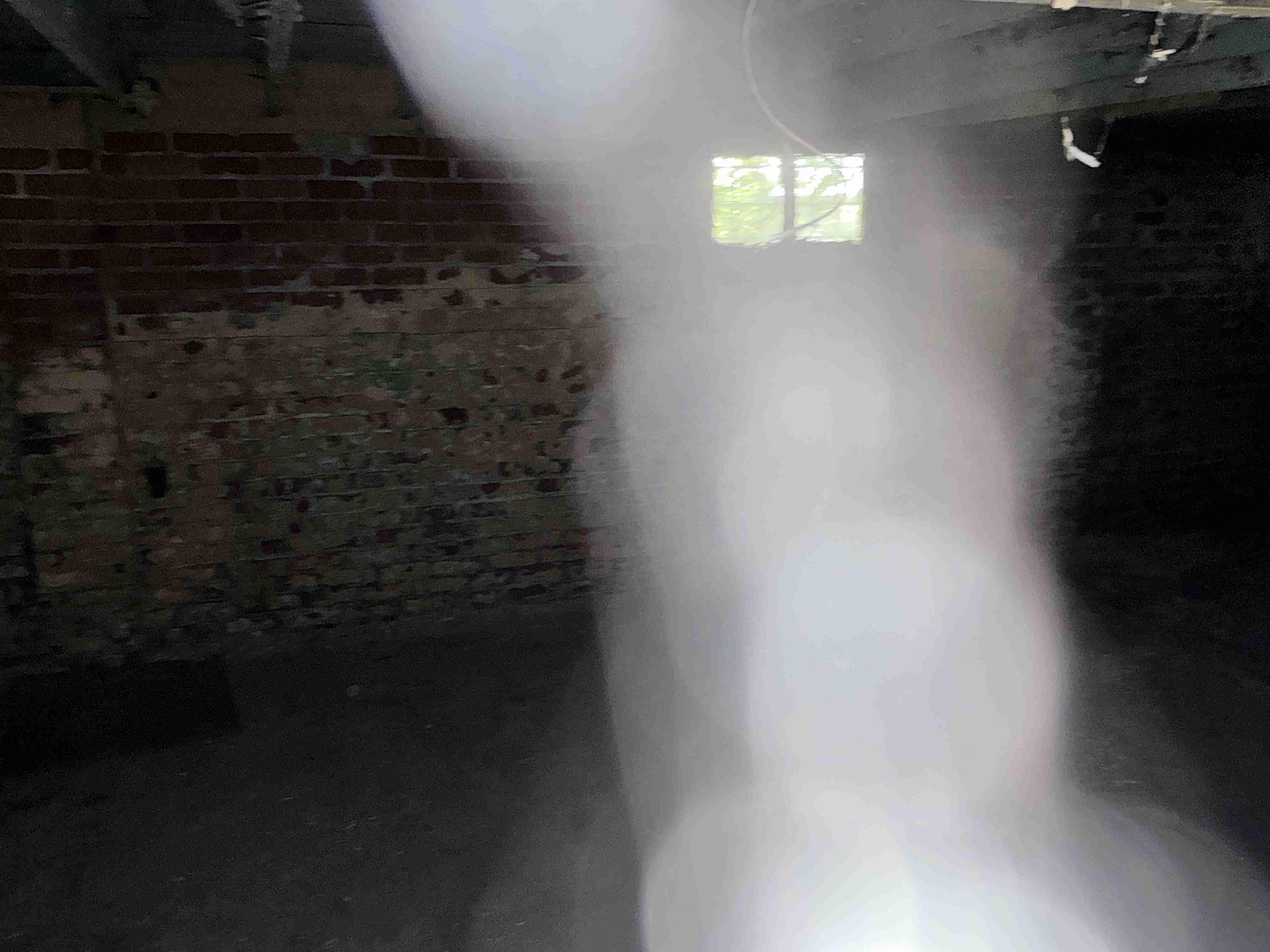 IMG_4839.jpeg