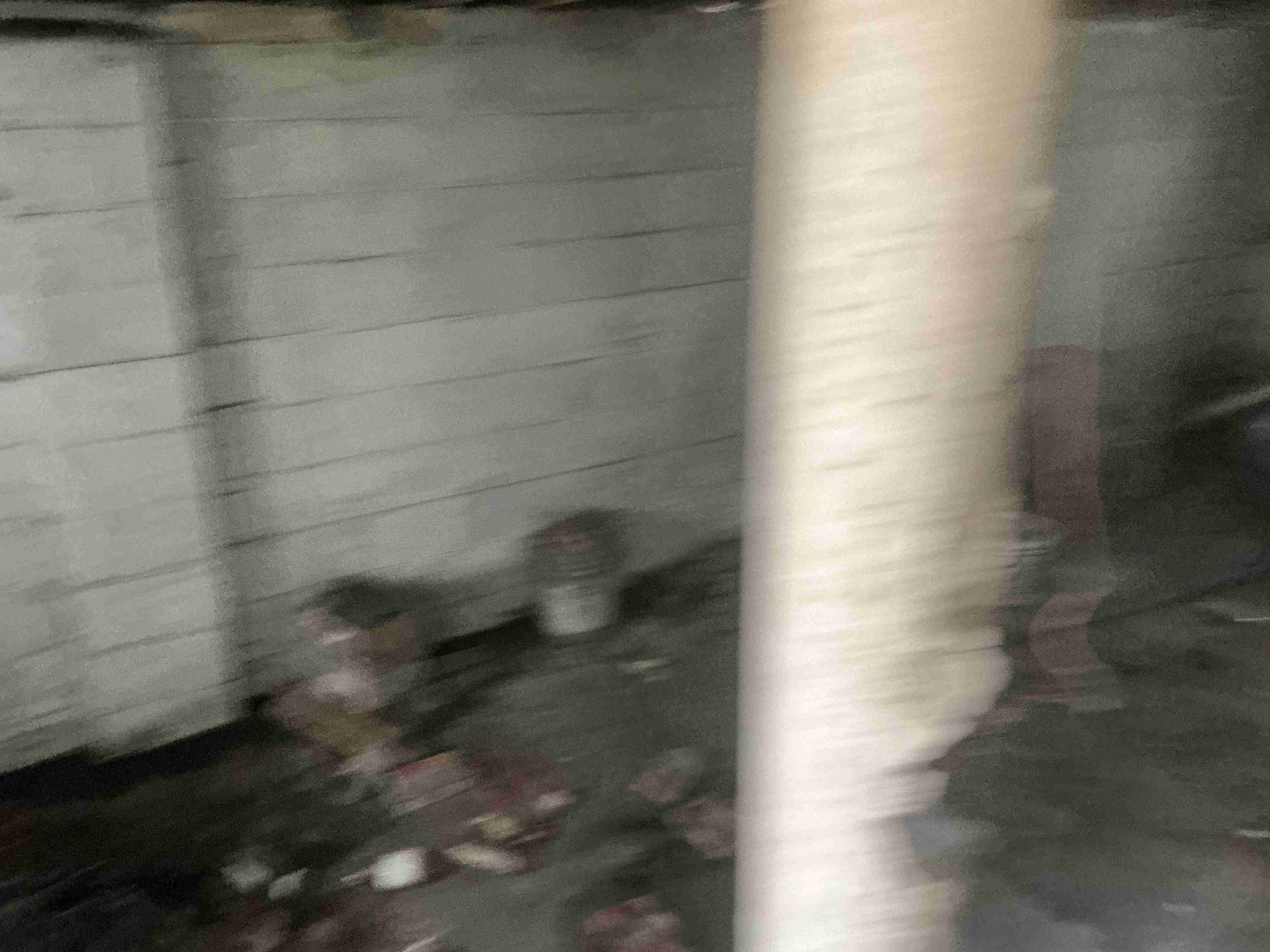 IMG_6657.jpeg