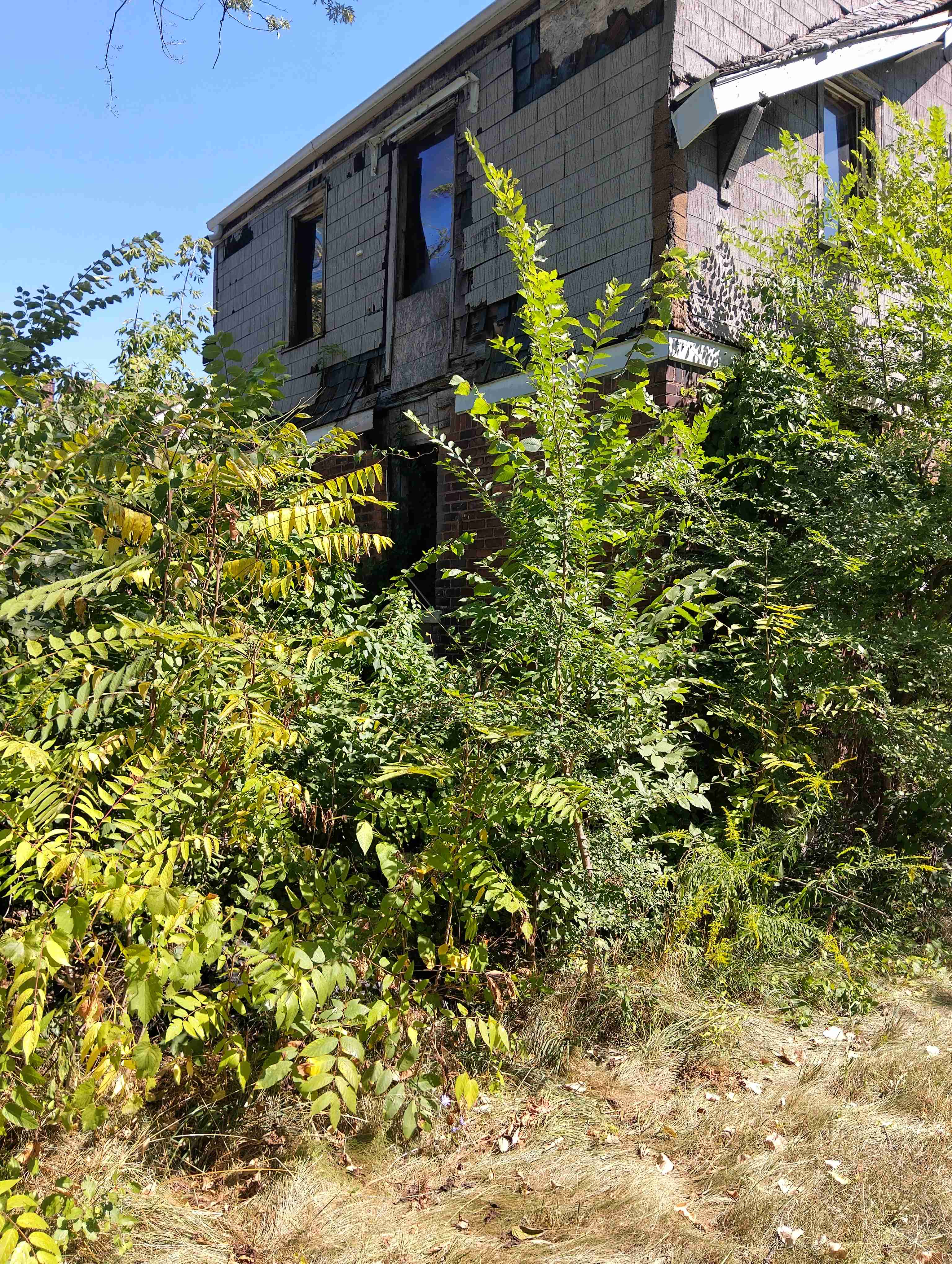 IMG_20260828_121500_HDR.jpg