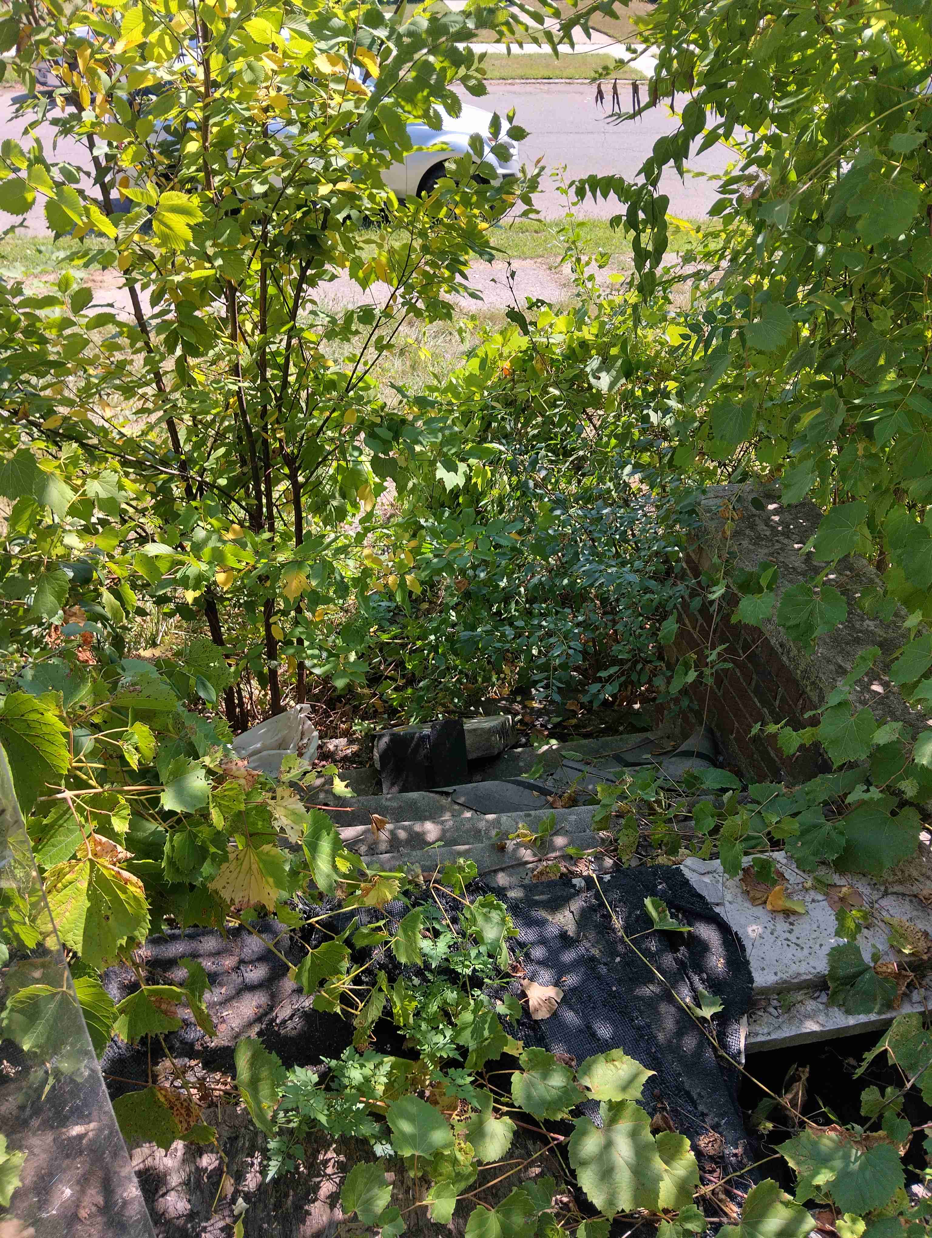 IMG_20260828_121850_HDR.jpg