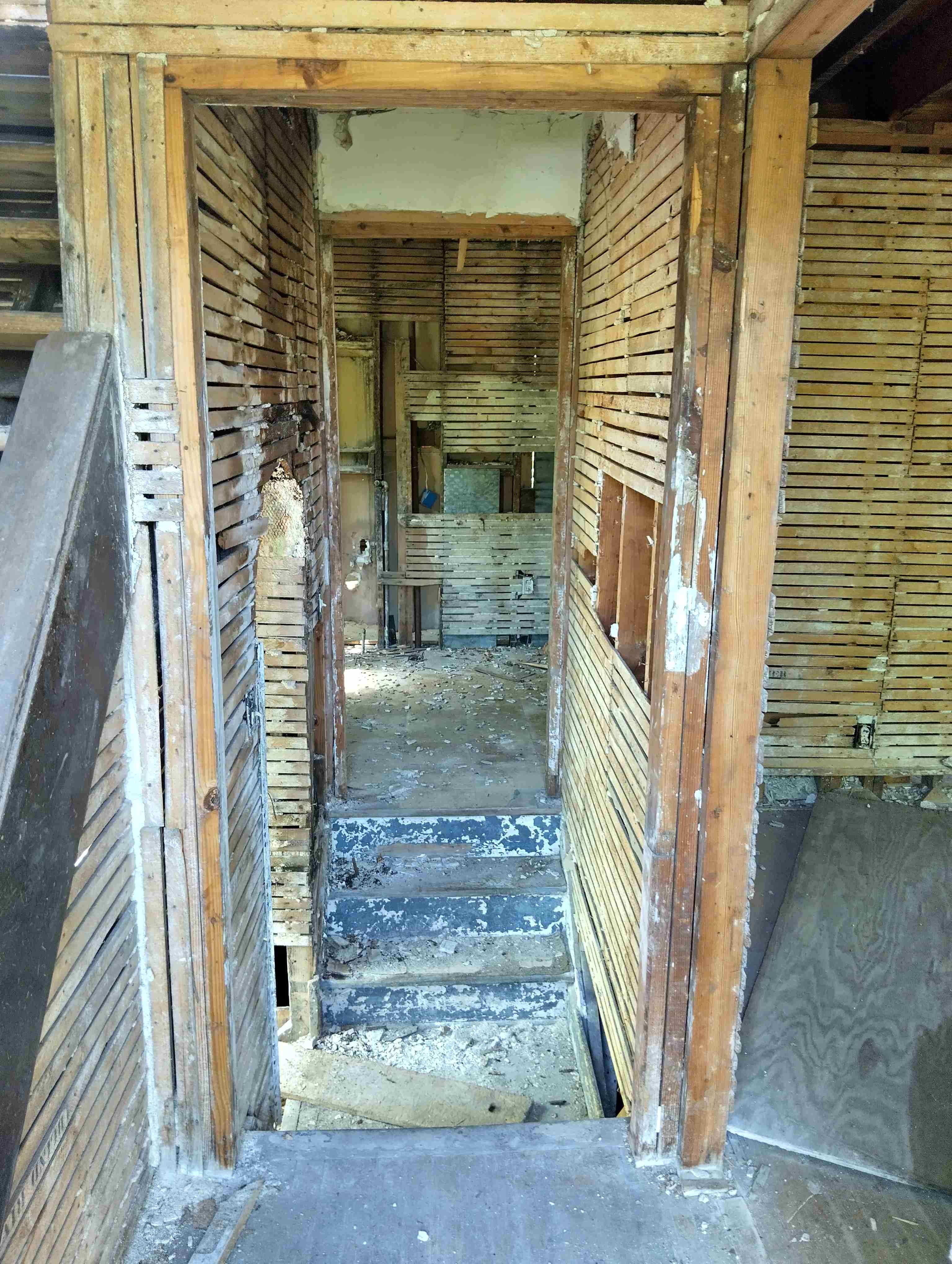 IMG_20260828_121906_HDR.jpg