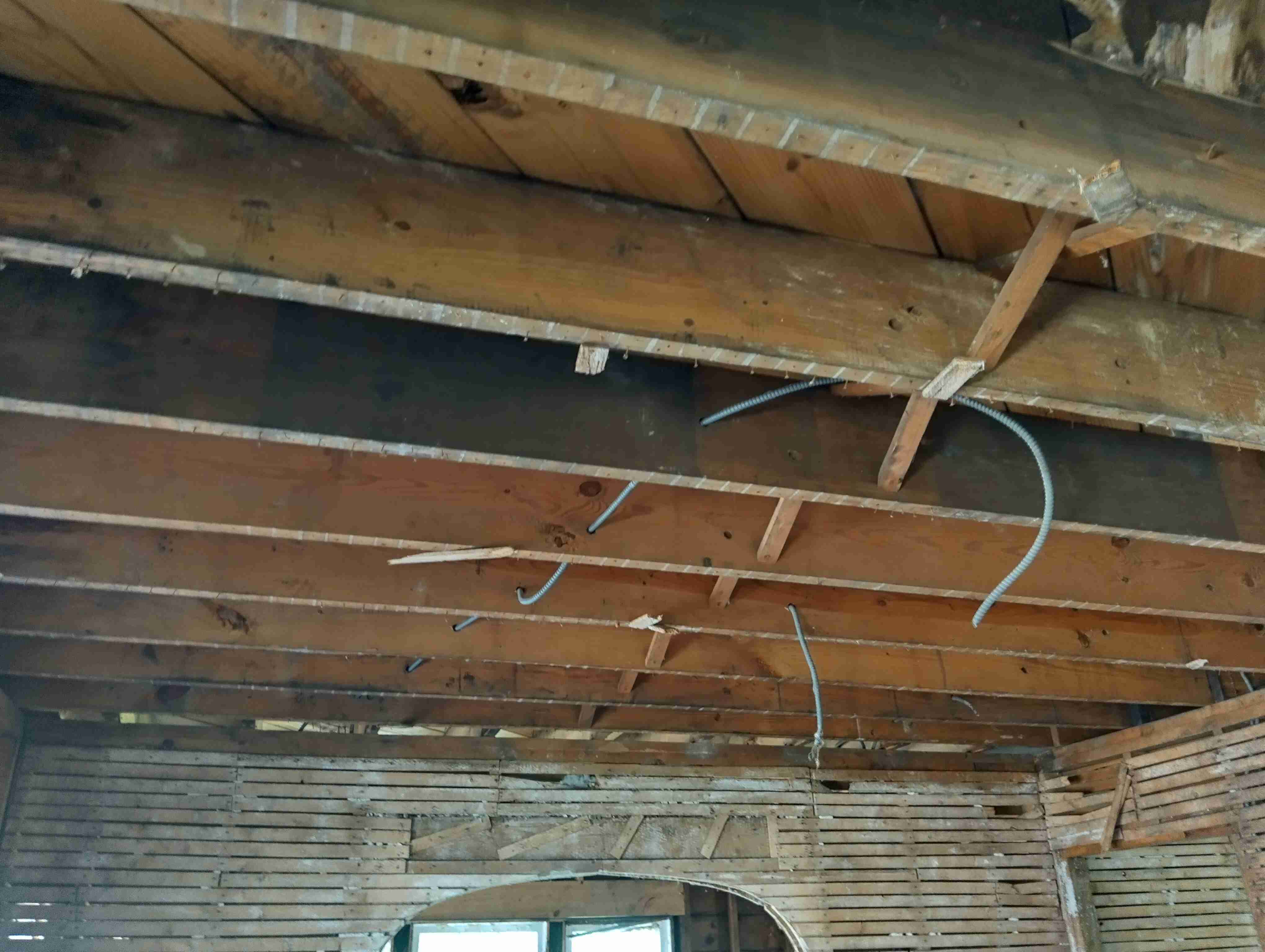 IMG_20260828_122055_HDR.jpg