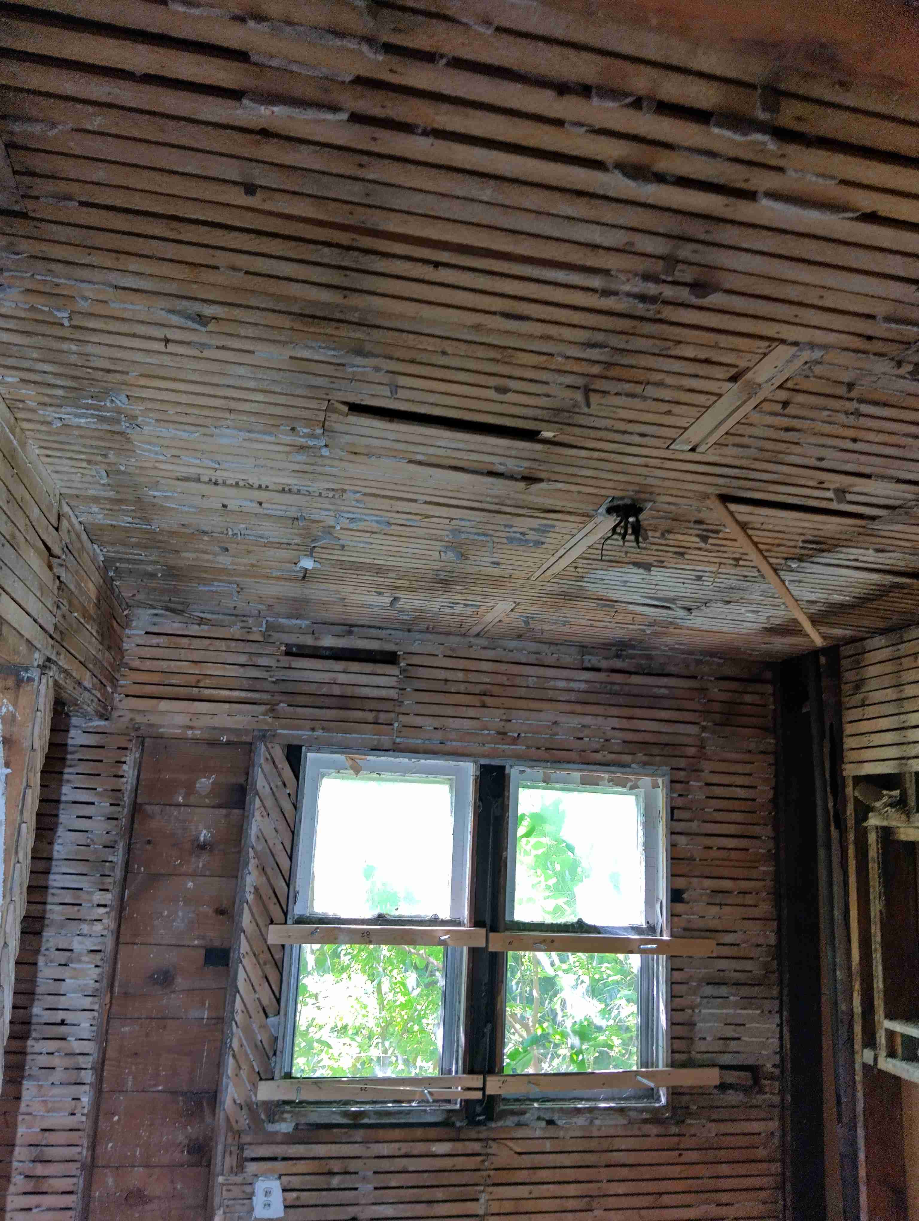 IMG_20260828_122214_HDR.jpg