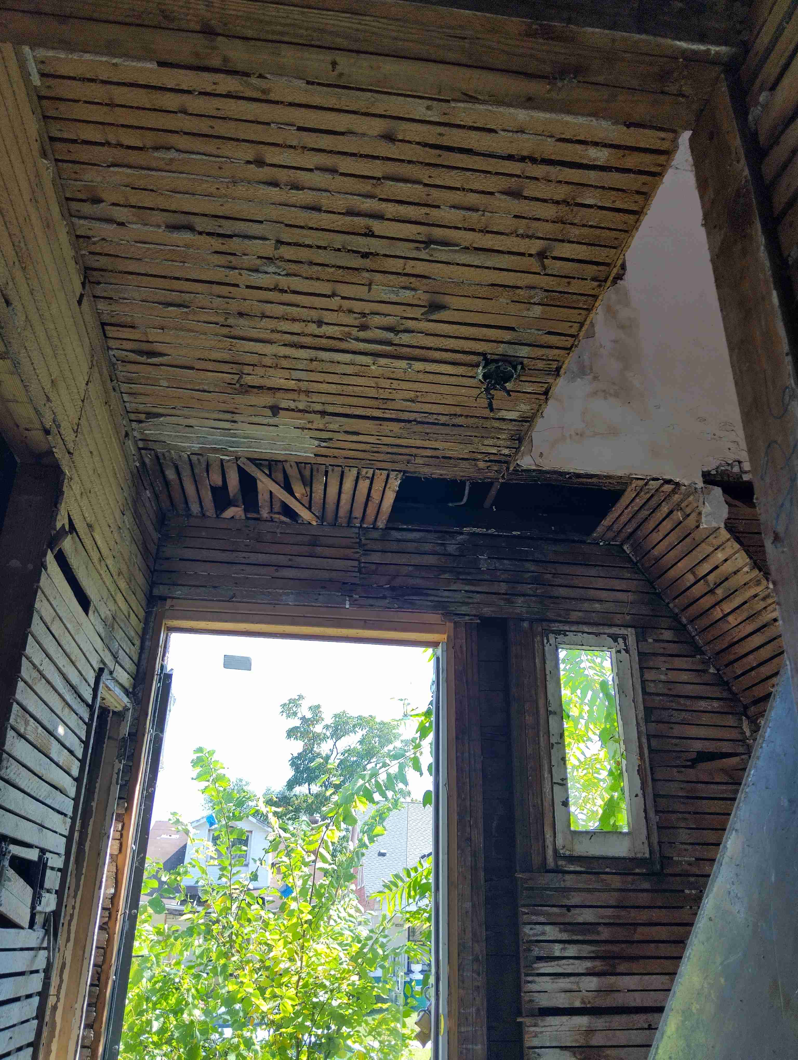 IMG_20260828_122300_HDR.jpg