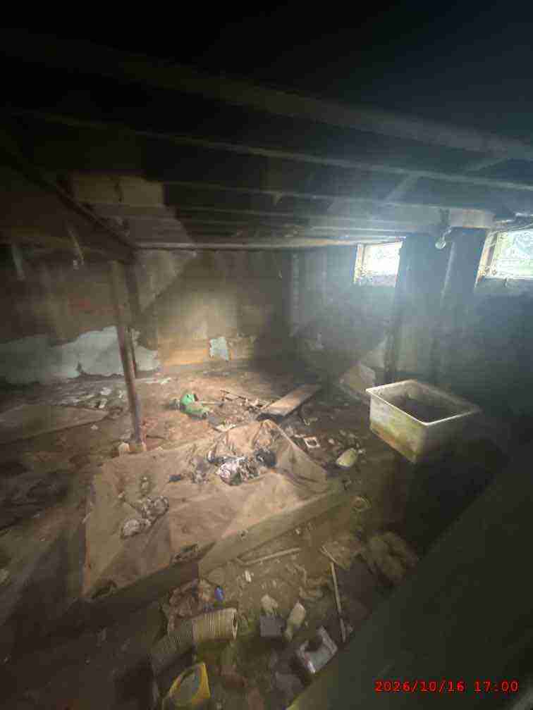 3141389-2_040.jpg