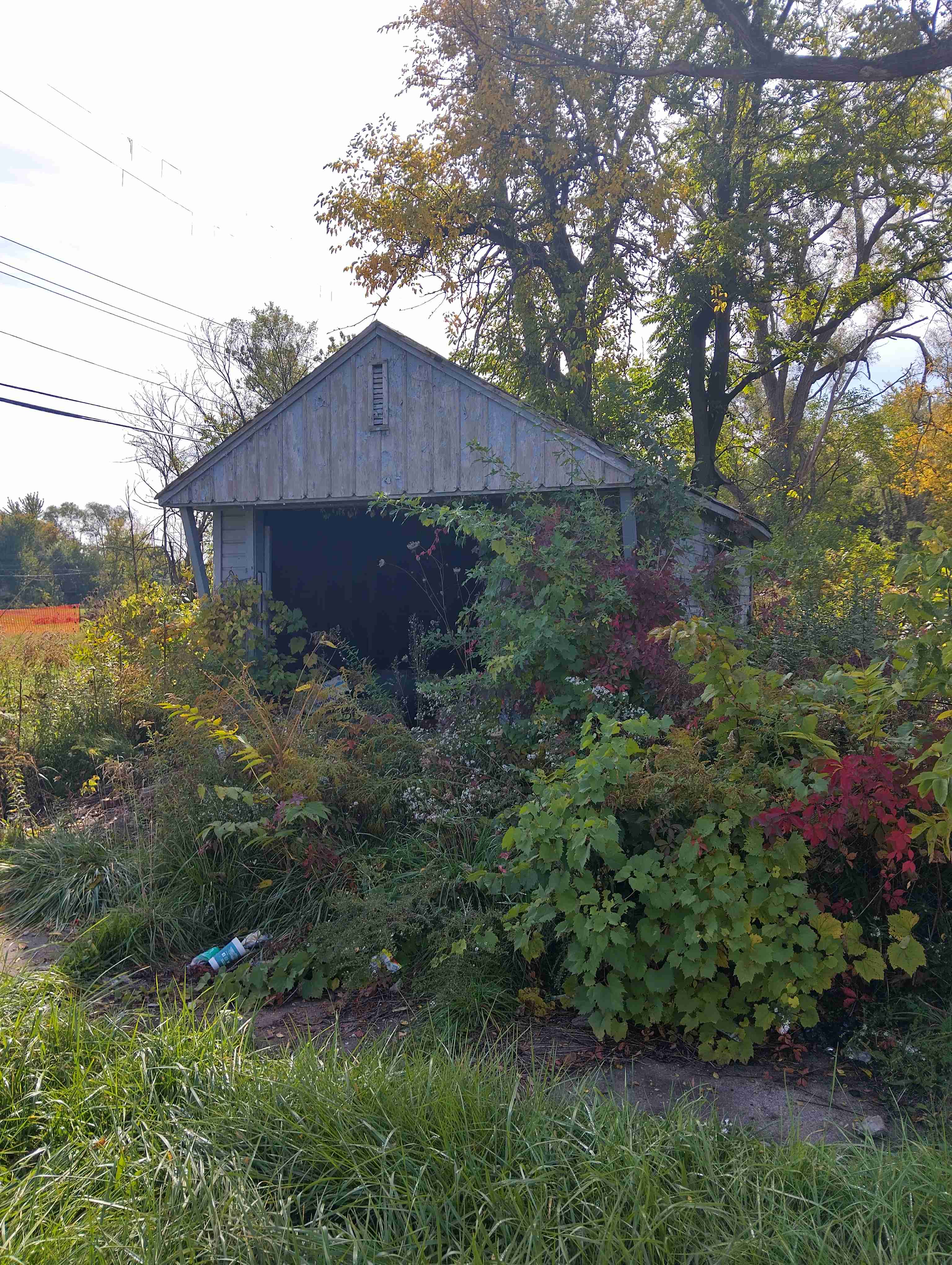 IMG_20261012_115916_HDR.jpg