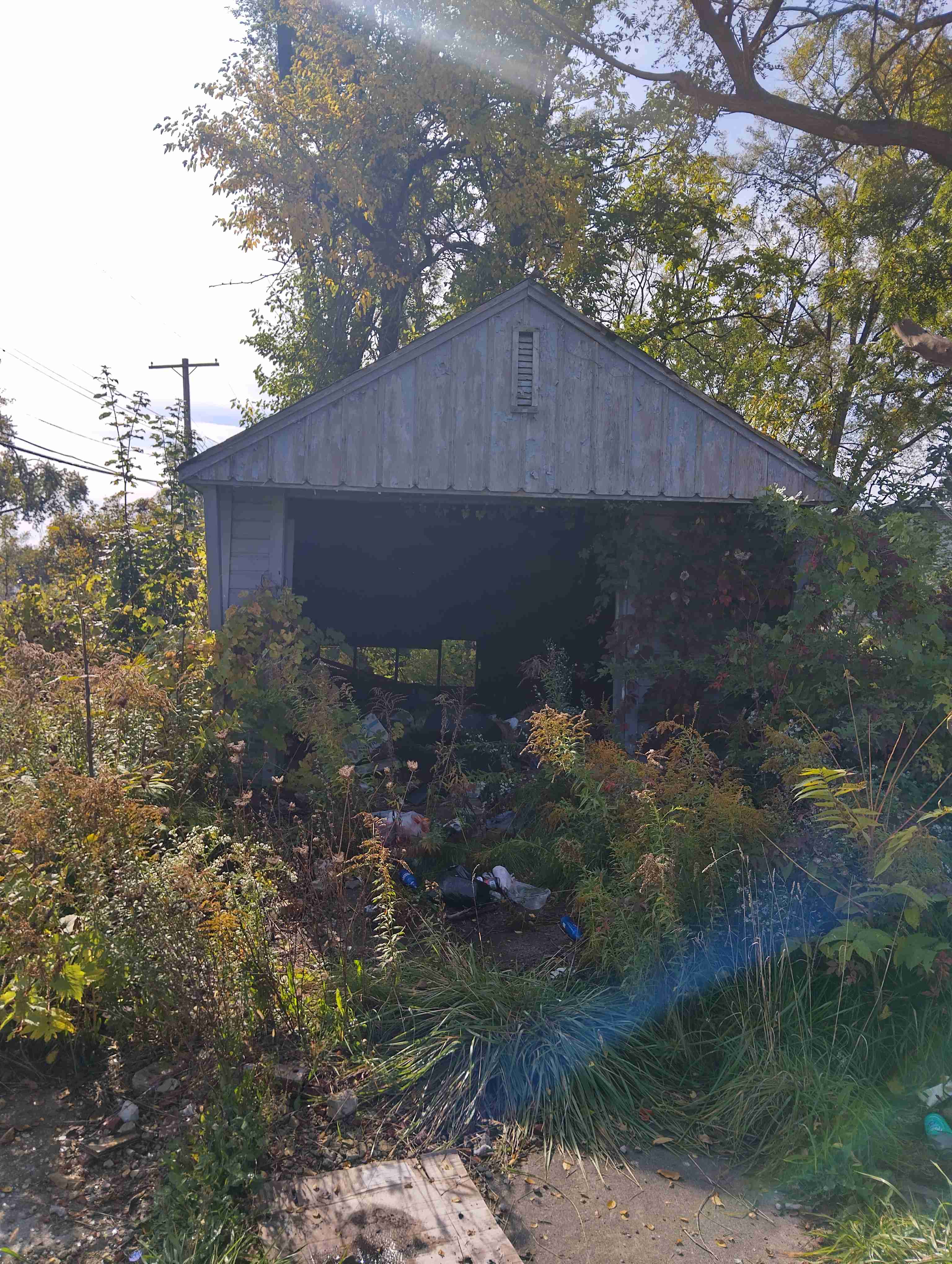 IMG_20261012_115924_HDR.jpg