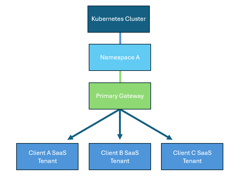 Multi-tenant gateway model