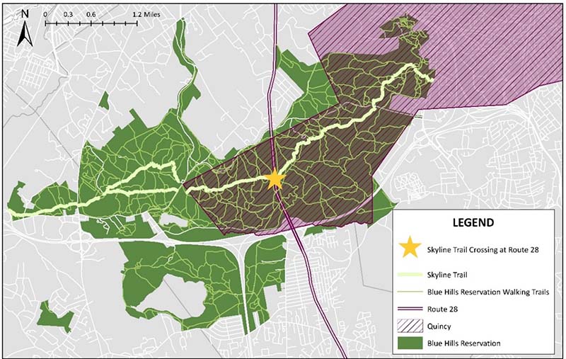 Figure 1: Skyline Trail Crossing of Route 28 in the Blue Hills Reservation. A map of the Blue Hills Reservation that highlights the location of the Skyline Trail, Route 28, and the study location at the Skyline Trail Crossing of Route 28. The map also shows where Quincy’s municipal boundaries extend into the Blue Hills Reservation.
