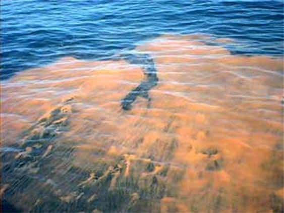 A red tide