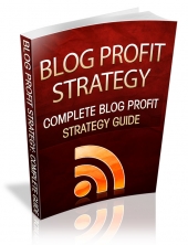 Blog Profit Strategy - FranklyDeals.com