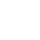 The American Academy of Pediatrics Logo