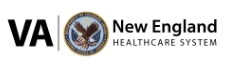 New England Health Care System logo