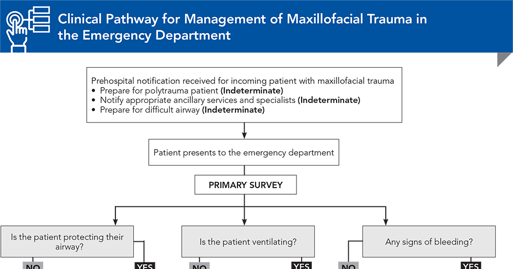 Clinical Pathway for Management of Maxillofacial Trauma in the Emergency Department