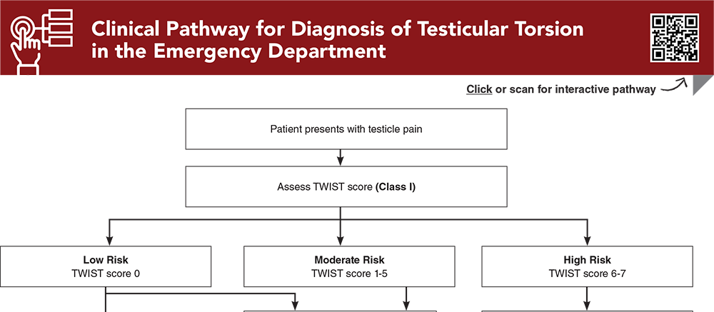 Clinical Pathway for Diagnosis of Testicular Torsion in the Emergency Department